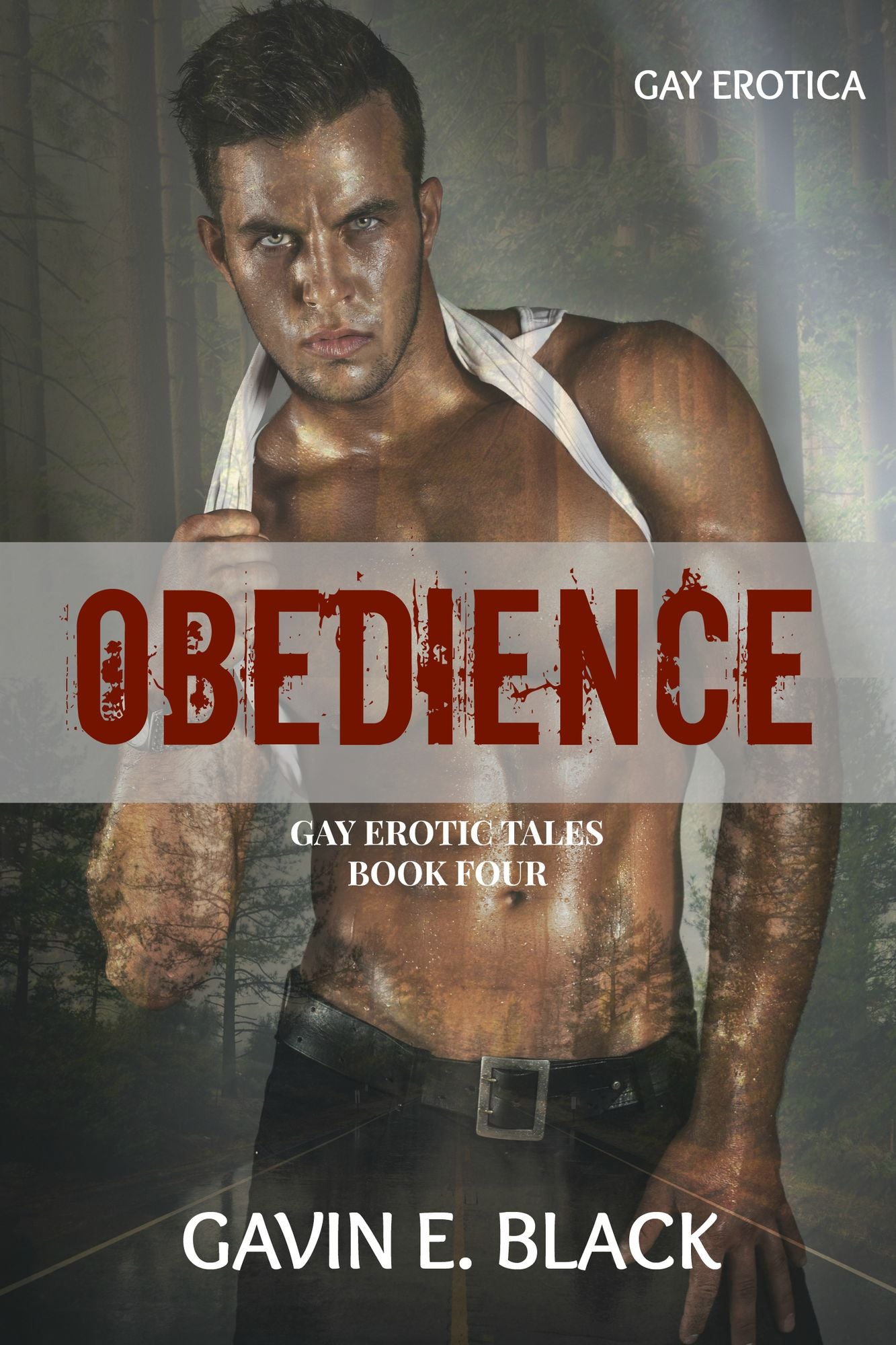 Obedience: Gay Erotic Tales #4: Gay Erotica