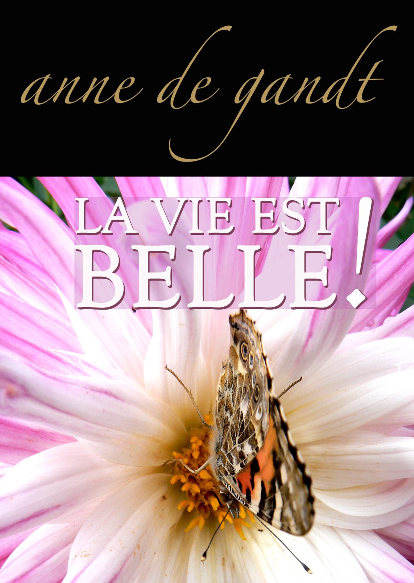 La vie est belle ! (Saison 4)