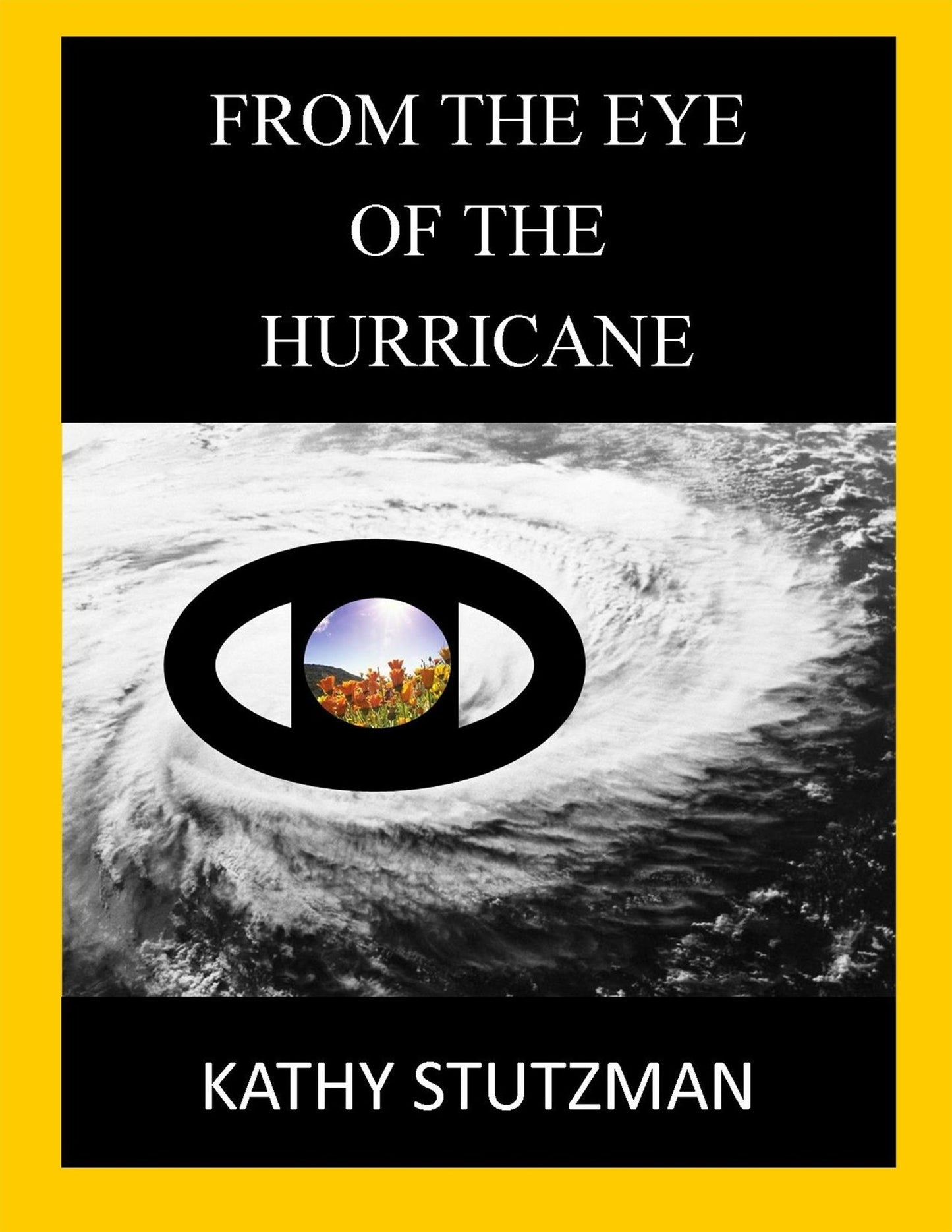 From The Eye of The Hurricane