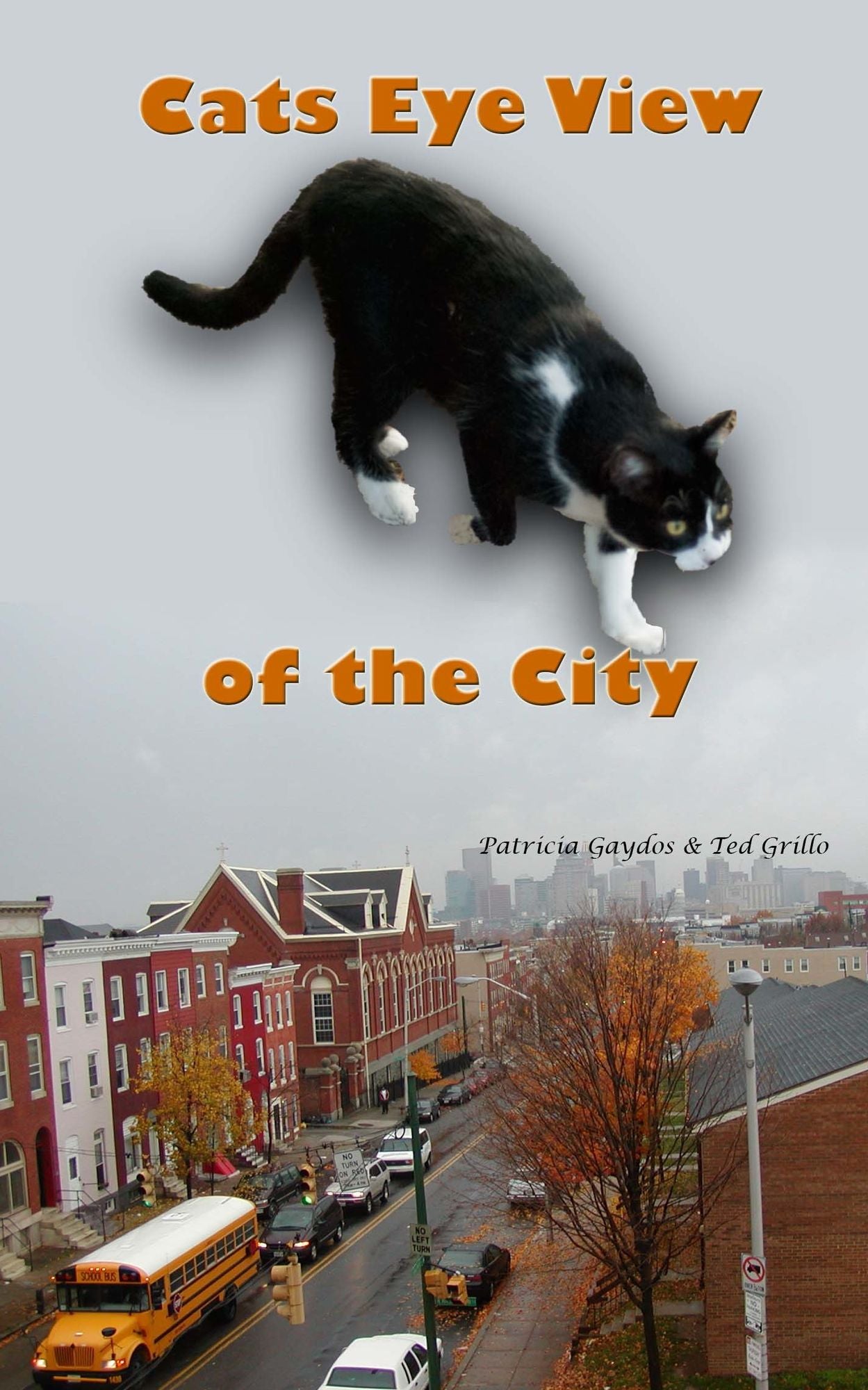 A Cat's Eye View of the City