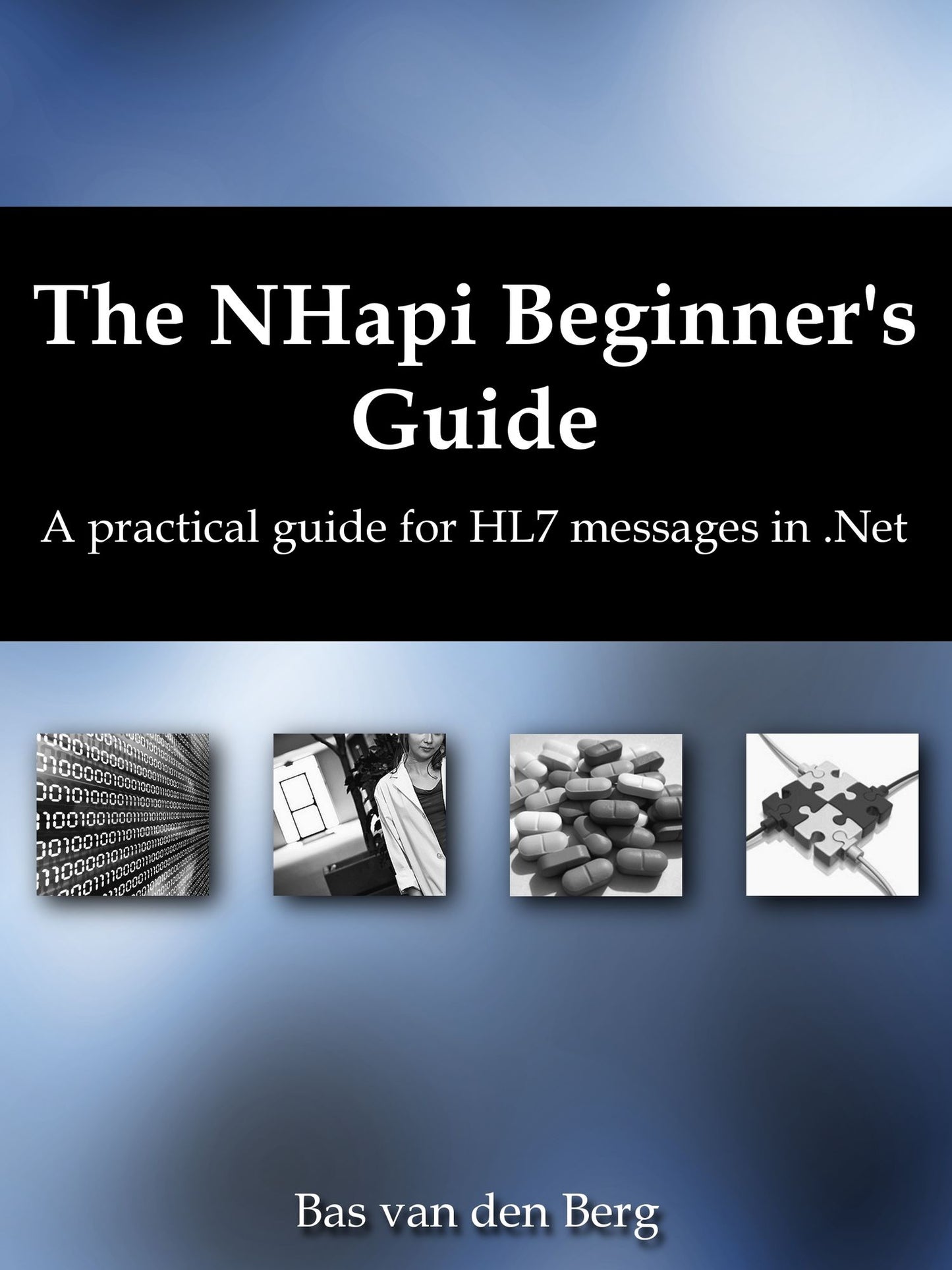 The NHapi Beginner's Guide