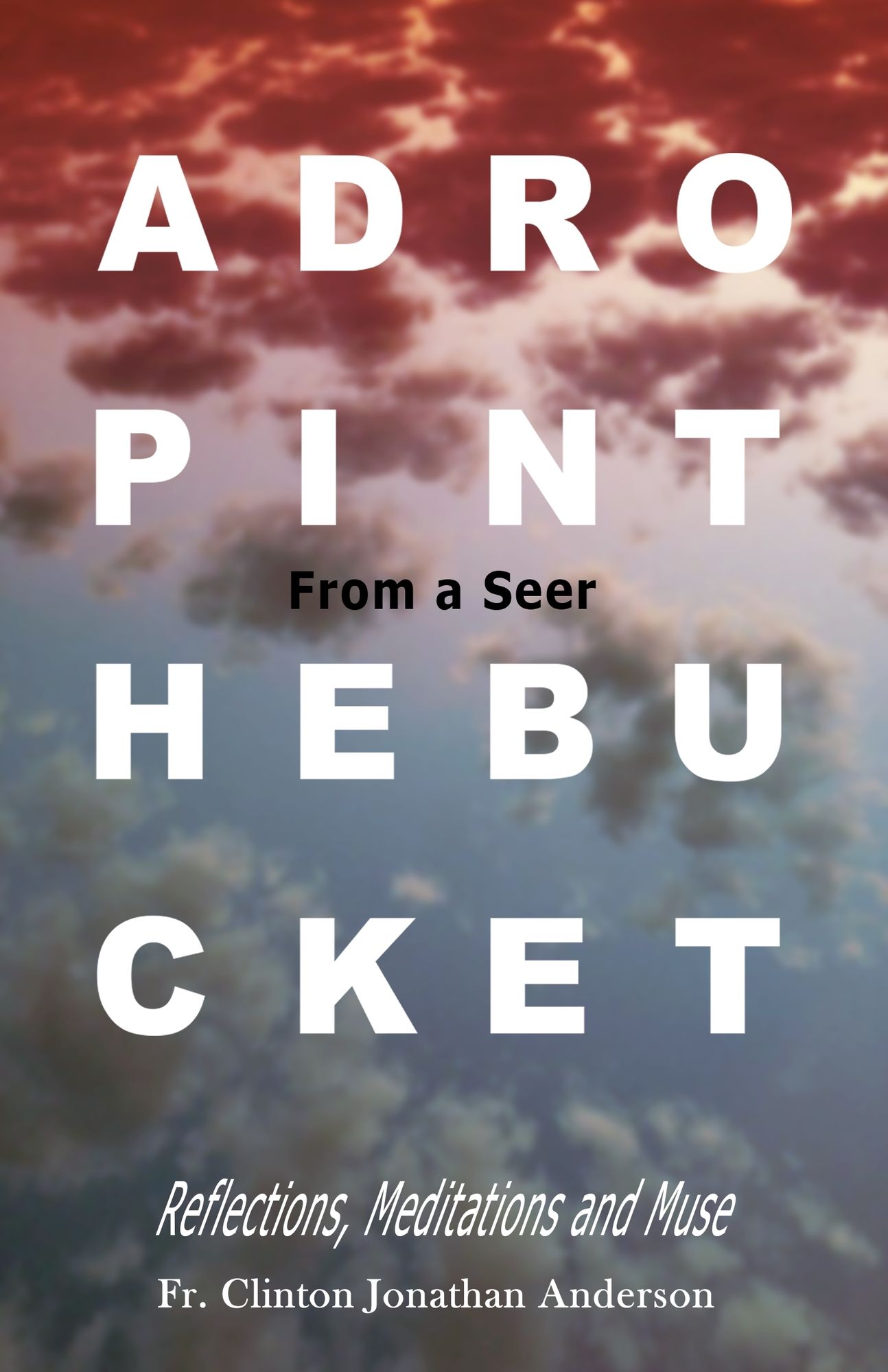 A Drop In the Bucket: Reflections, Meditations, and Muse
