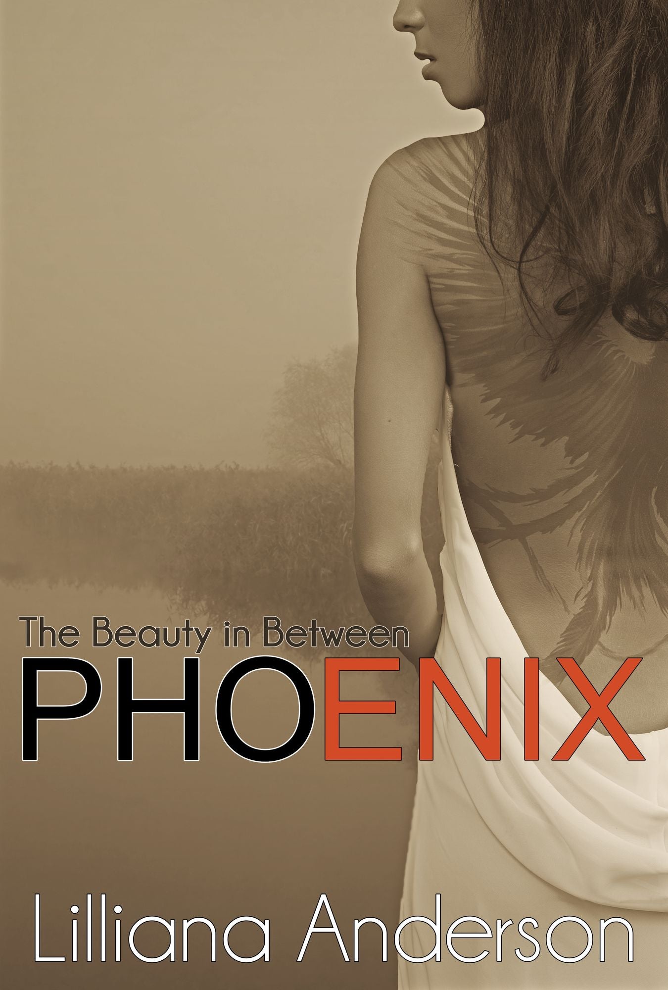 Phoenix: The Beauty in Between (A Beautiful Series Companion Novel)