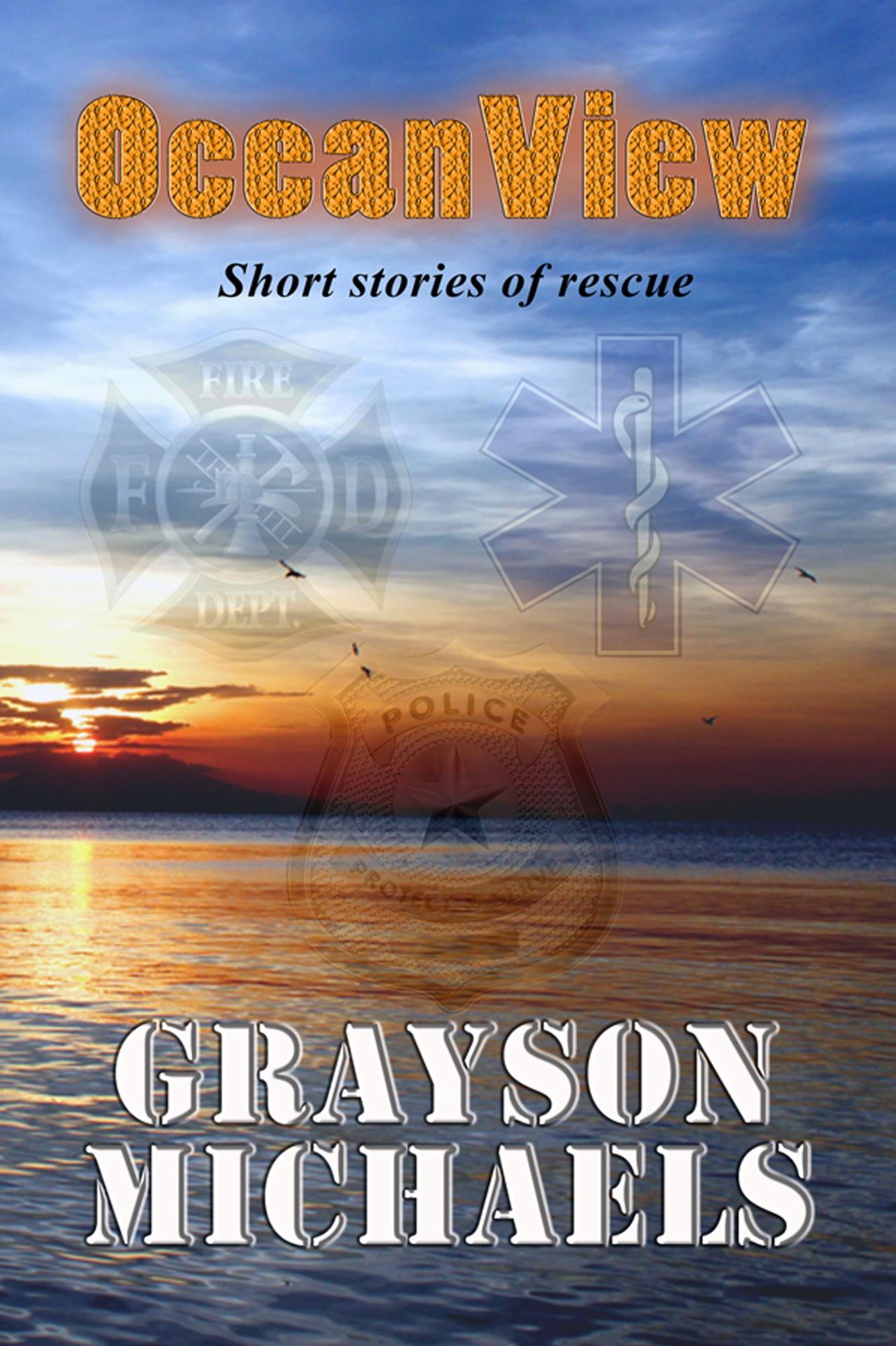 OceanView: Short stories of rescue