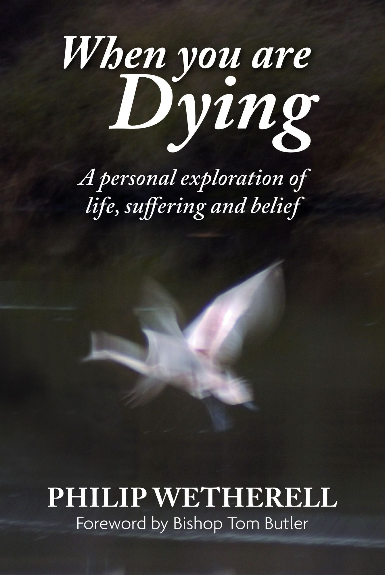 When You Are Dying: A Personal Exploration of Life, Suffering, and Belief