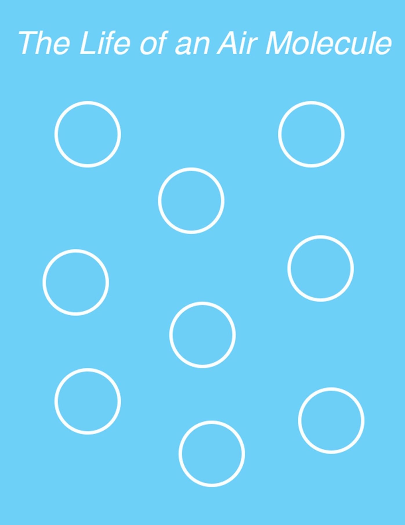 The Life of an Air Molecule