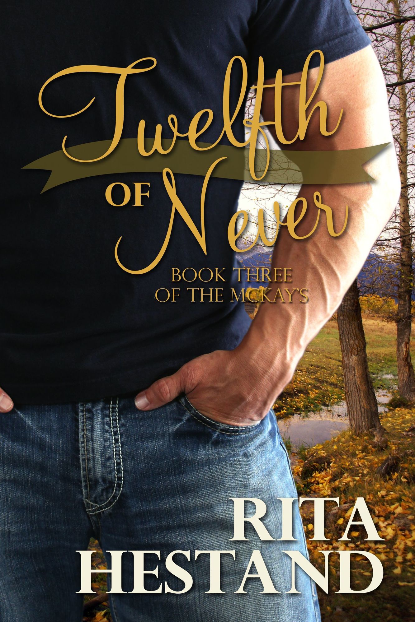 Twelfth of Never (Book 3 of the McKay series)