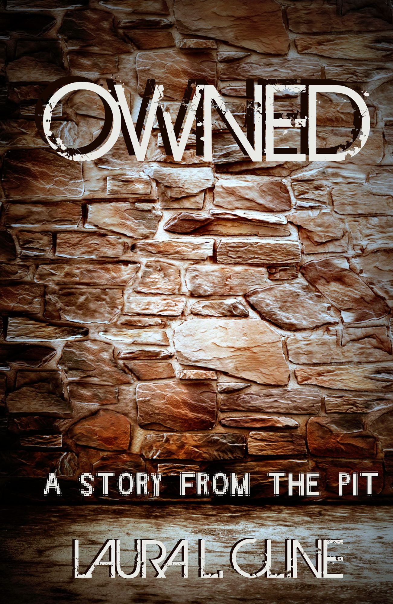 #1 Owned (A Story from The Pit)