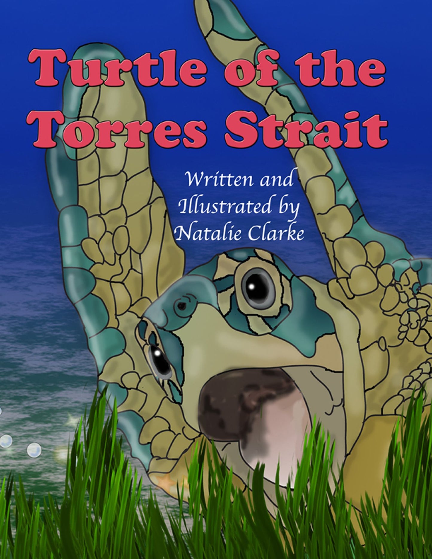 Turtle of the Torres Strait Ebook