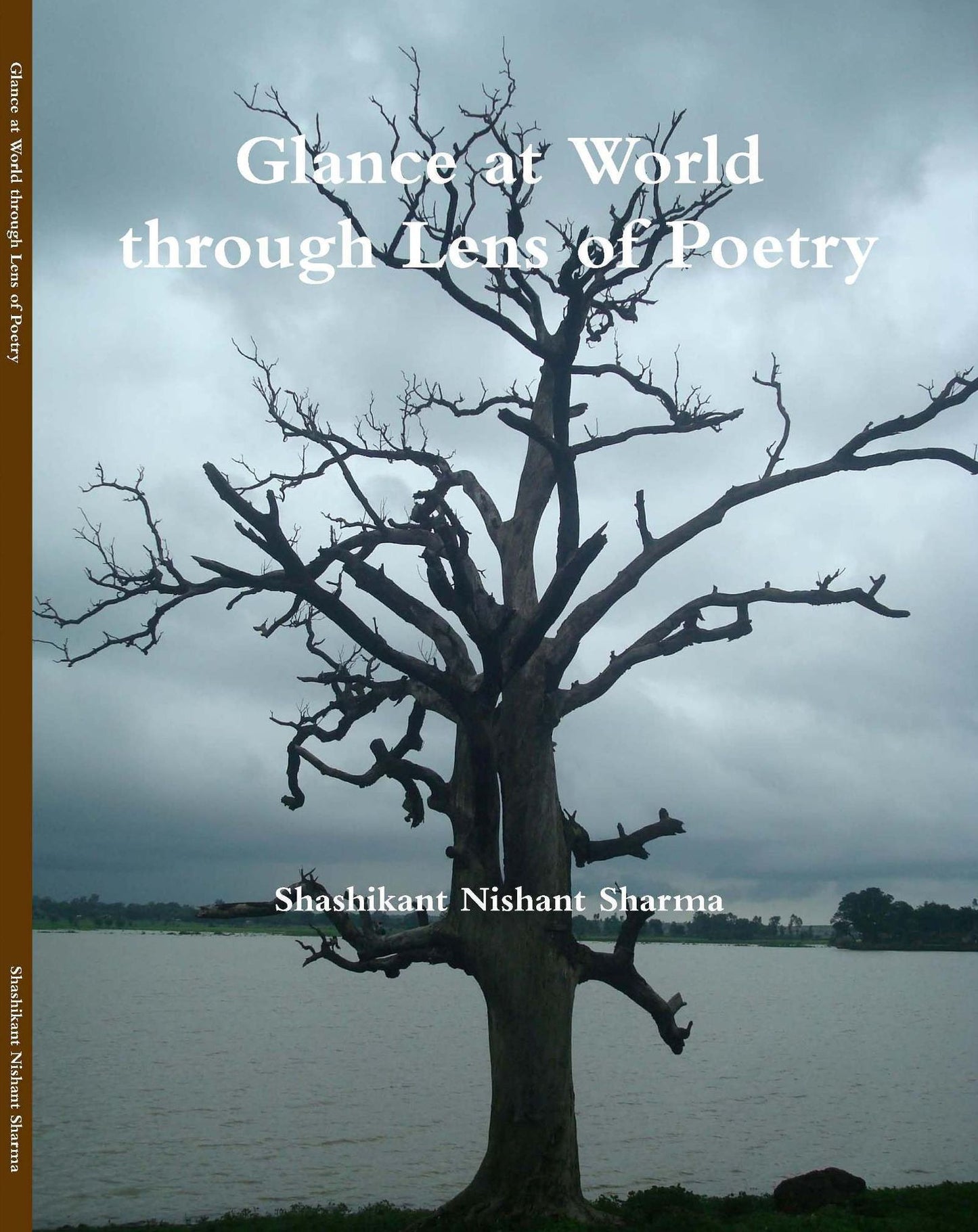 Glance at World through Lens of Poetry
