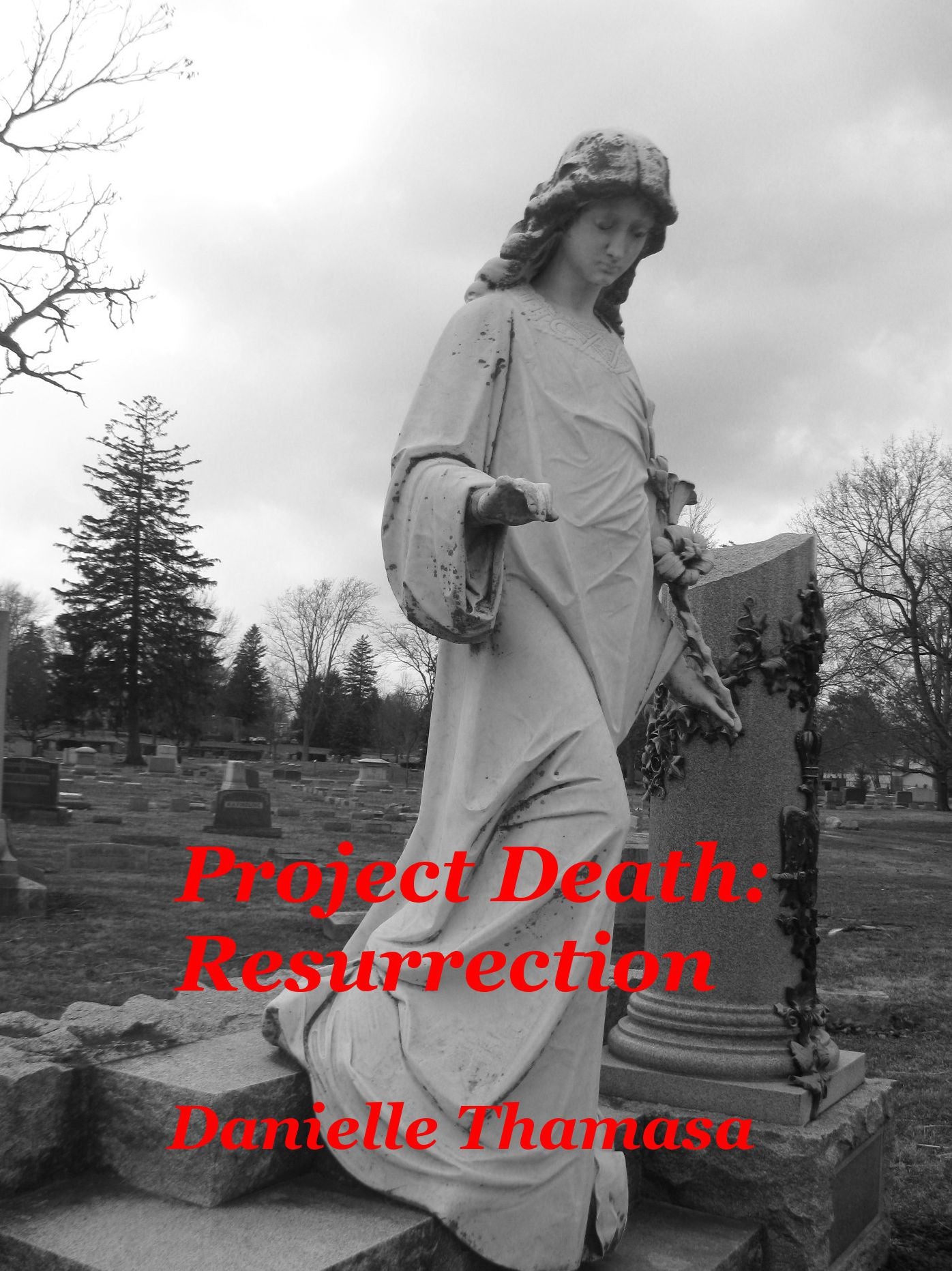 Project Death: Resurrection