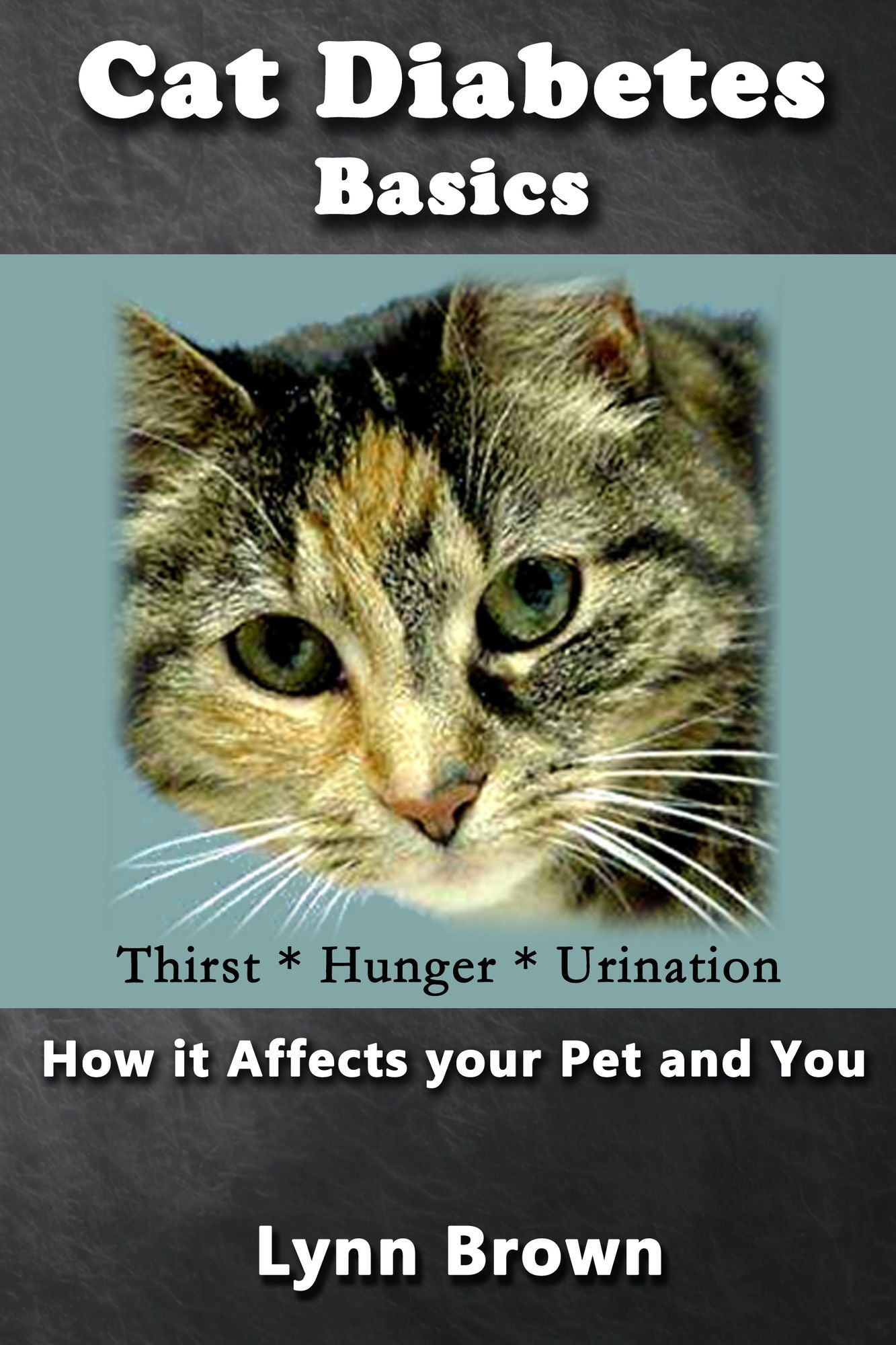 Cat Diabetes Basics