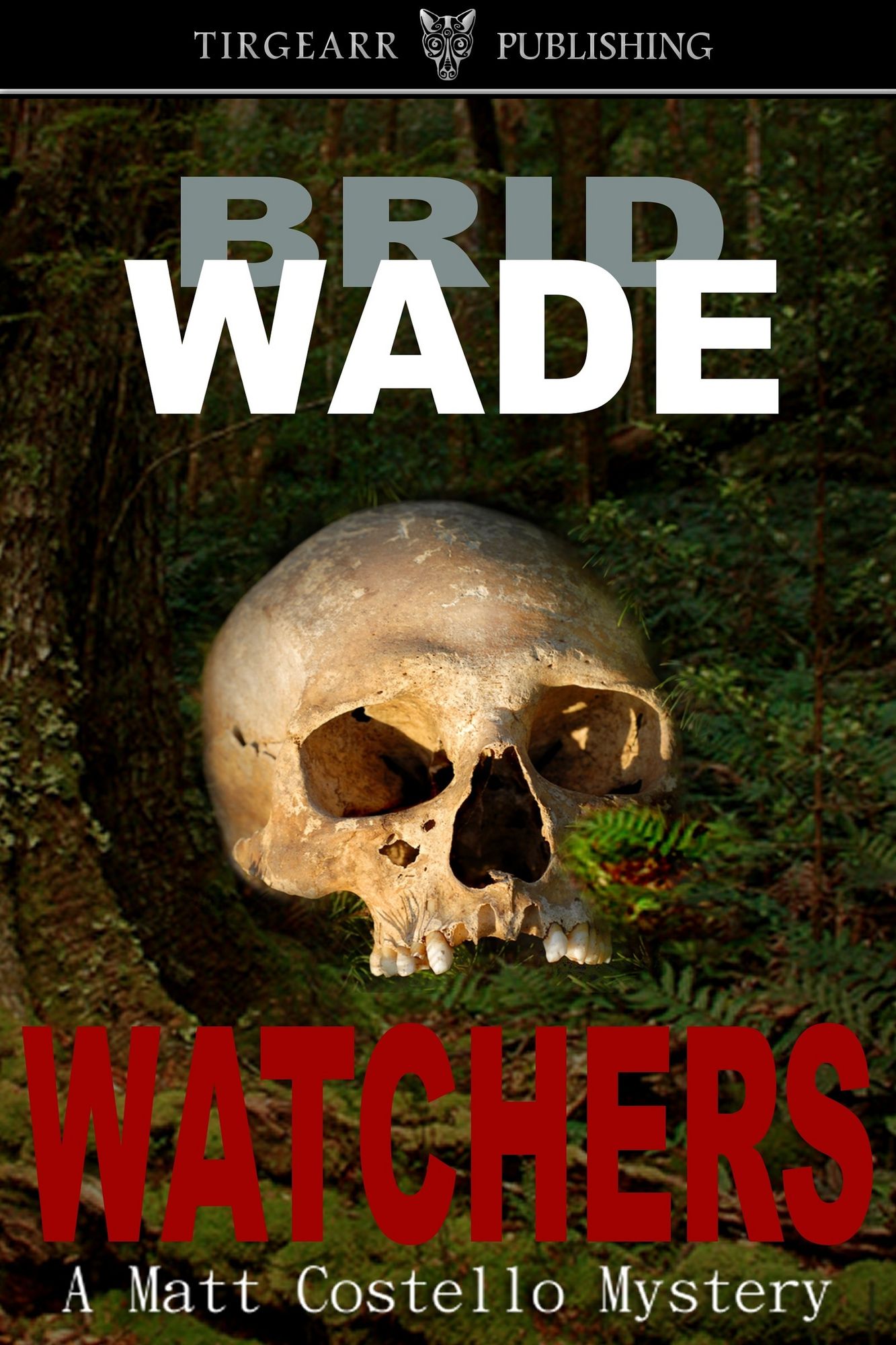 Watchers (A Matt Costello Mystery, book one)