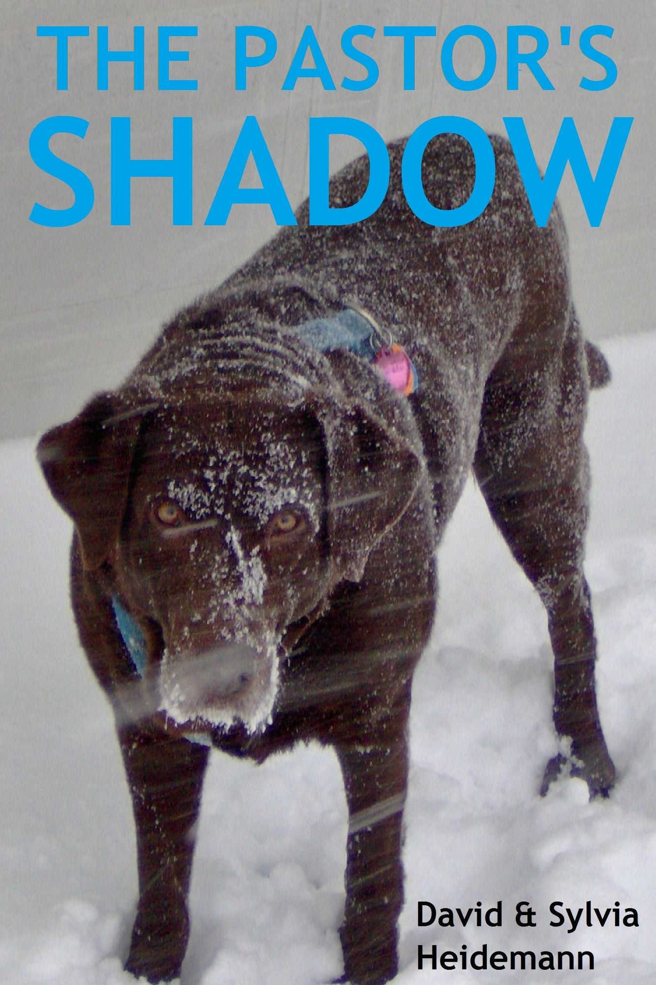 The Pastor's Shadow