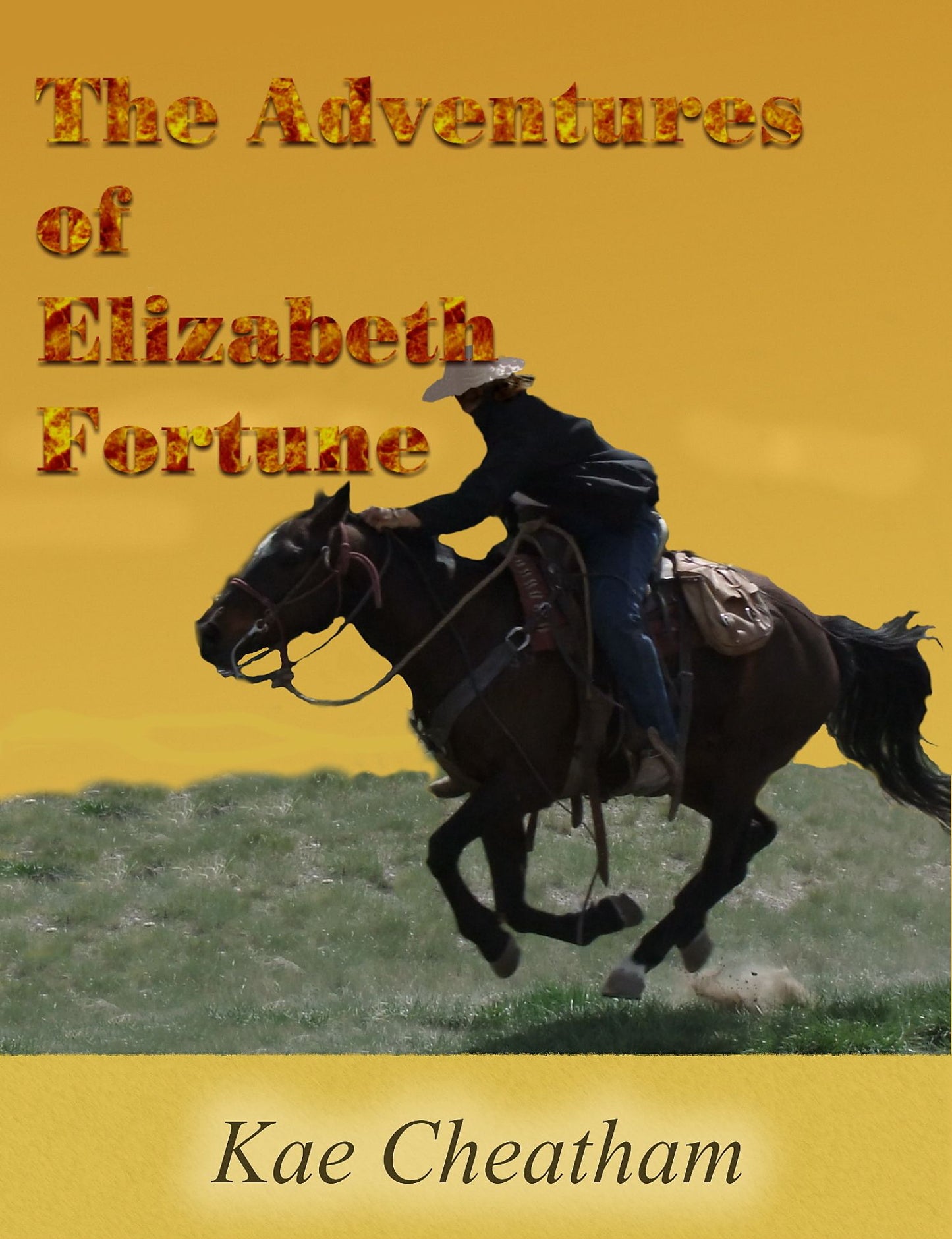 The Adventures of Elizabeth Fortune