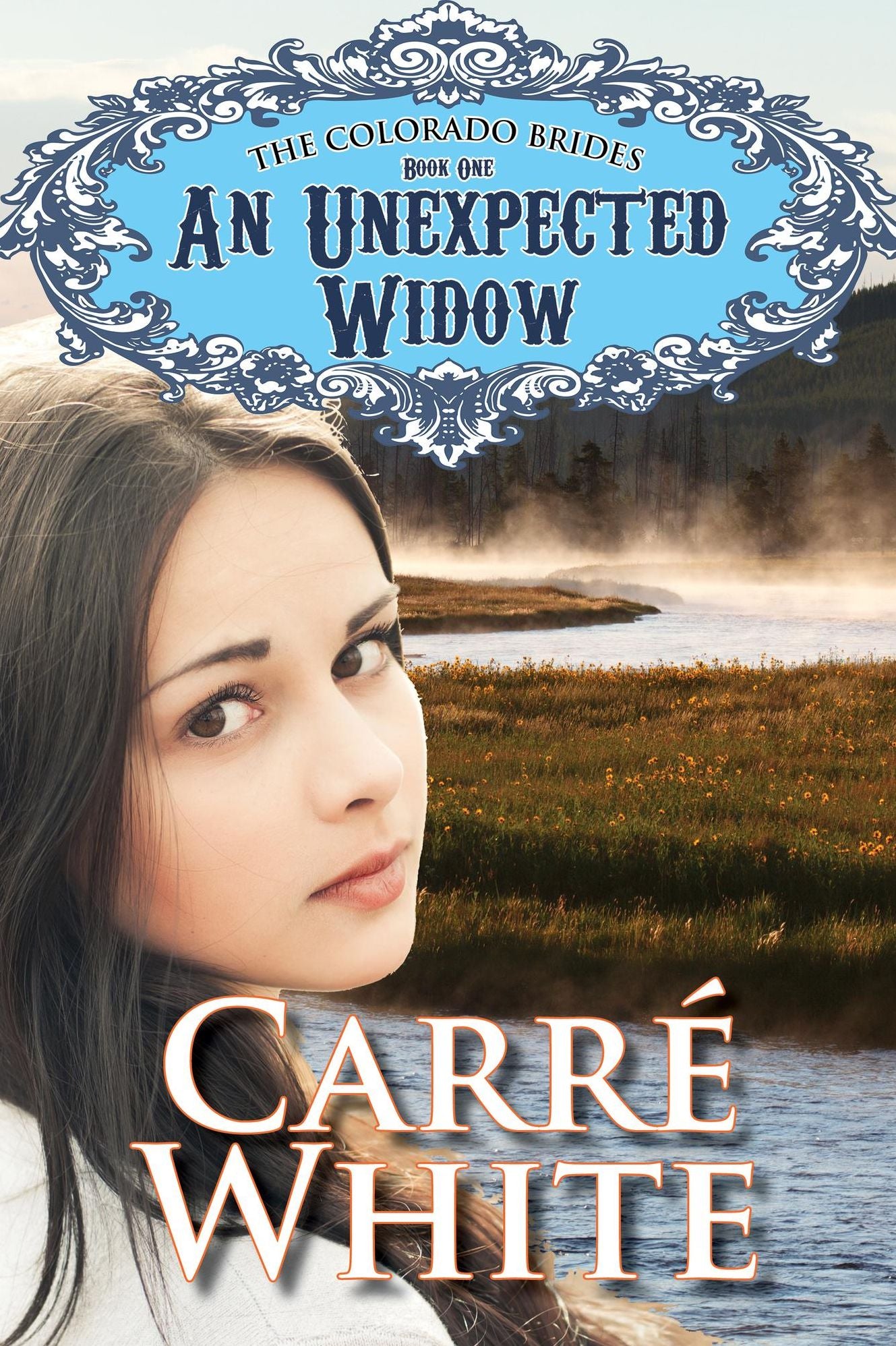 An Unexpected Widow (The Colorado Brides Series)
