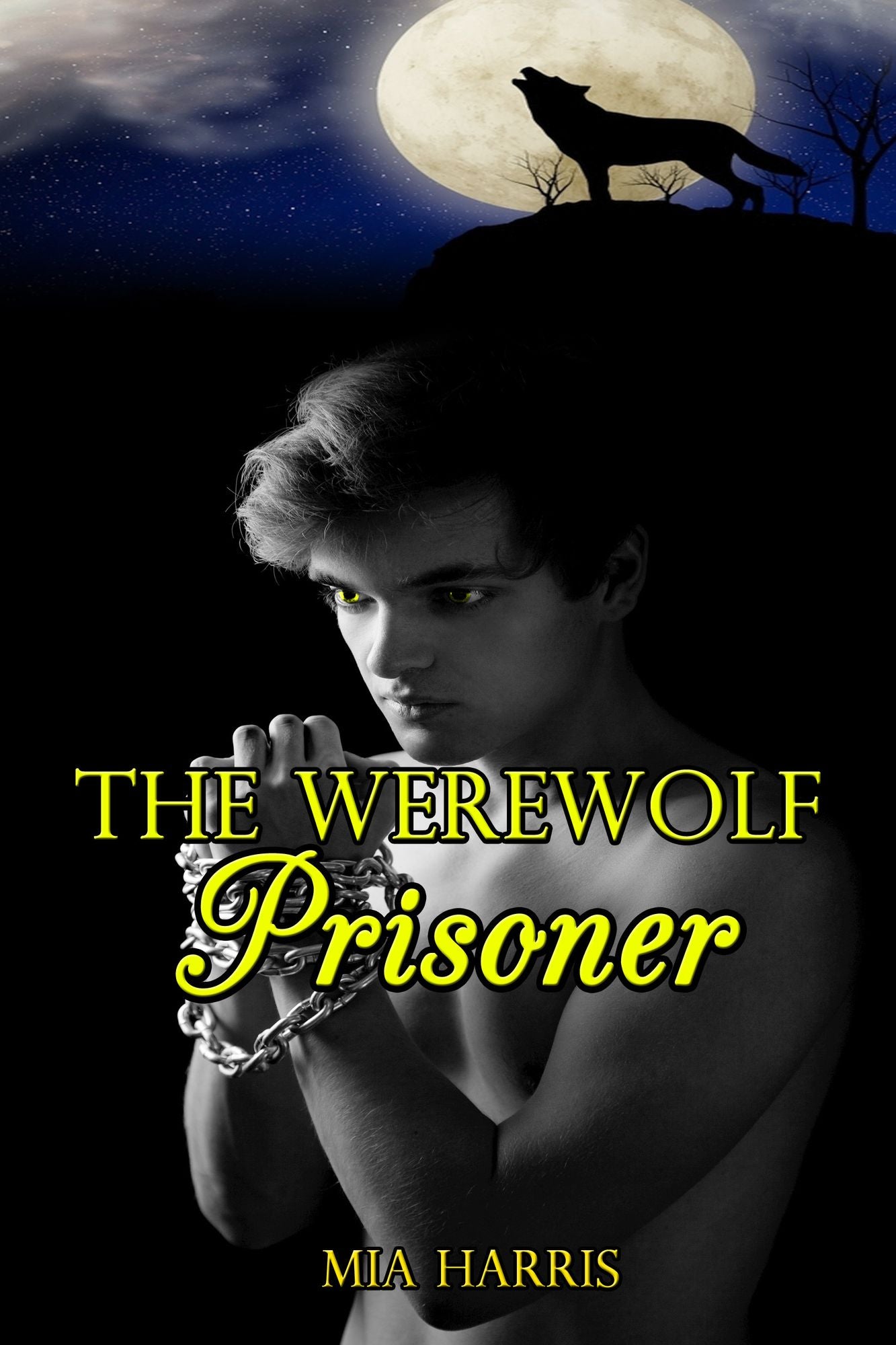 The Werewolf Prisoner (BBW Paranormal Erotica - Alpha Mate)