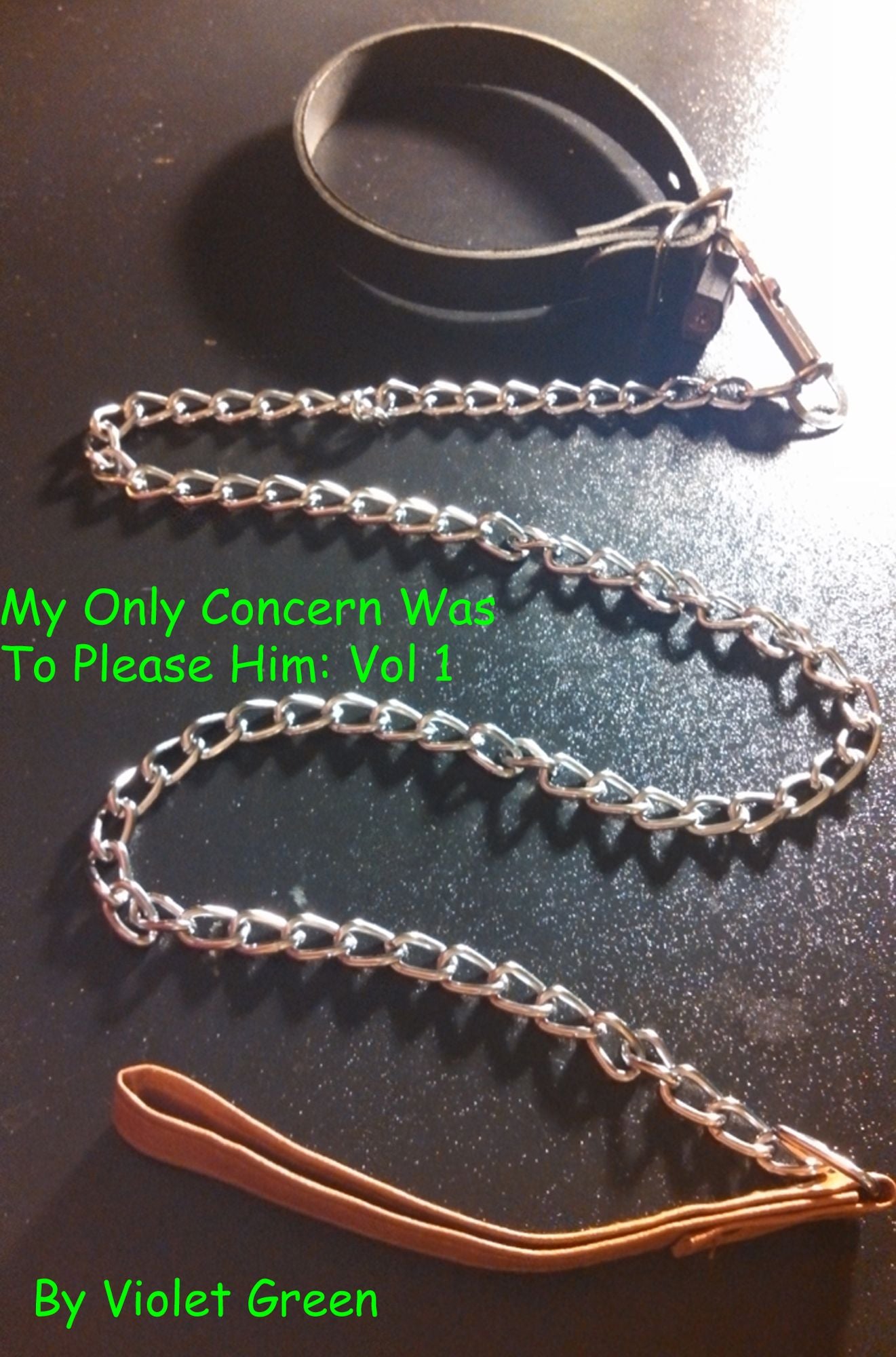 My Only Concern Was To Please Him: Vol. 1