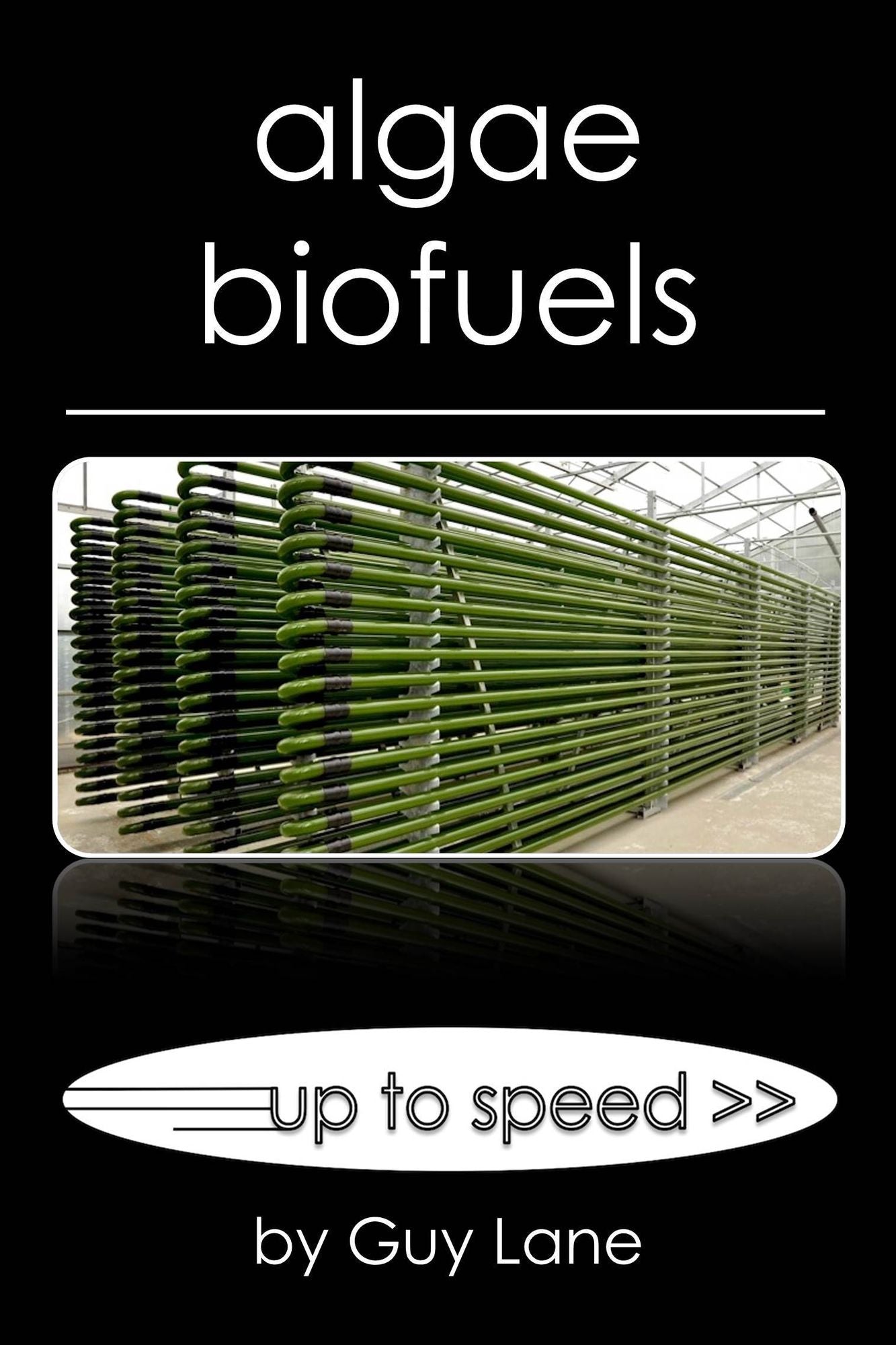 Algae Biofuels