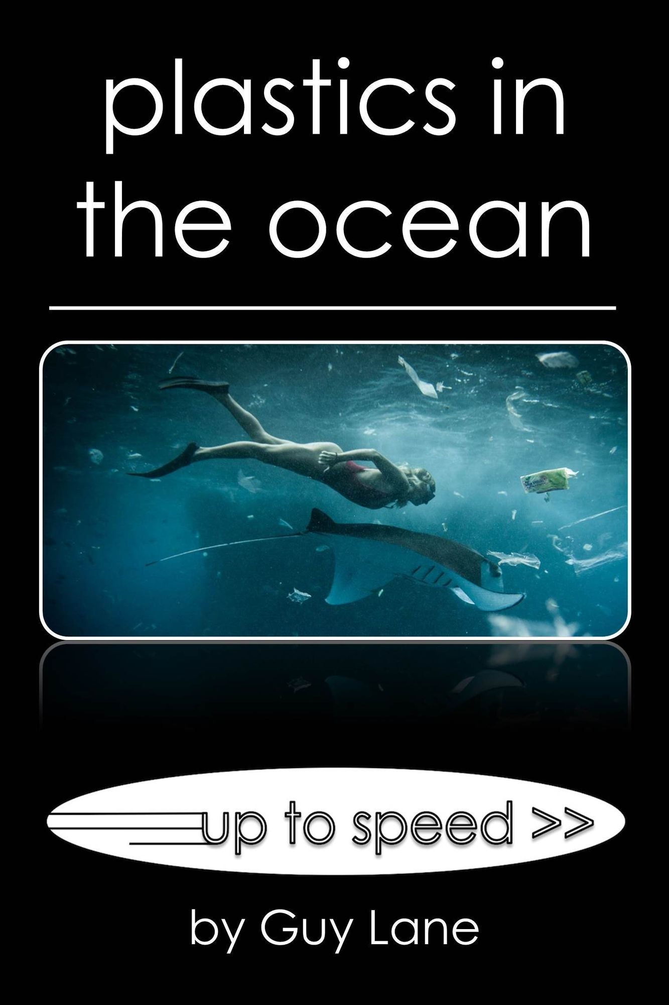 Plastics in the Ocean