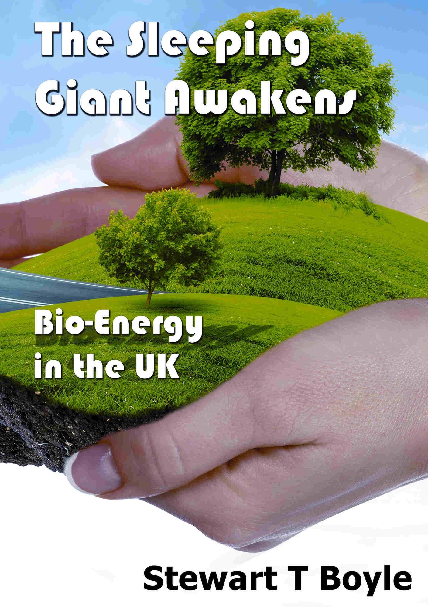 The Sleeping Giant Awakens: Bio-energy in the UK
