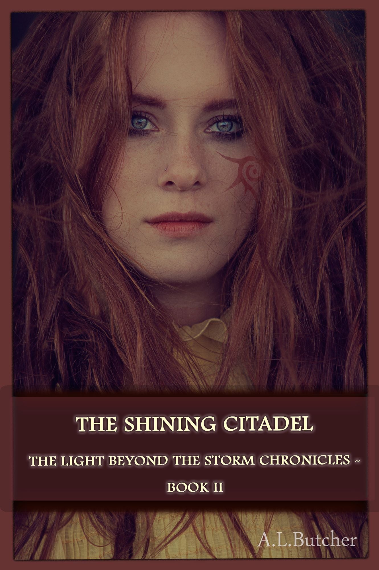The Shining Citadel: The Light Beyond the Storm Chronicles Book II