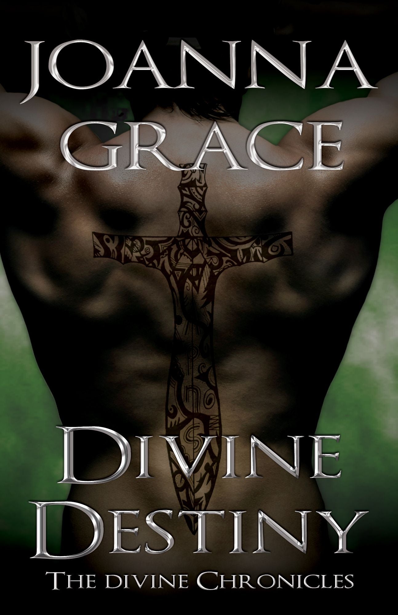 Divine Destiny- The Divine Chronicles Book 2
