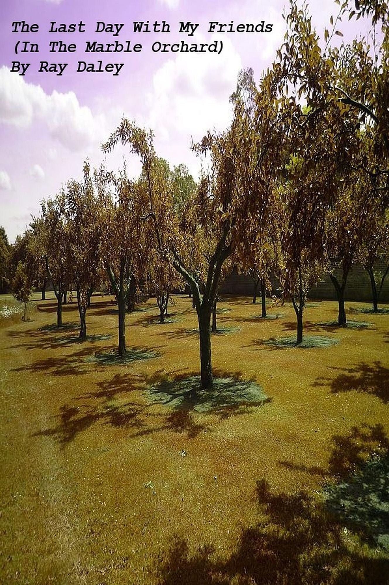 The Last Day With My Friends (In The Marble Orchard)