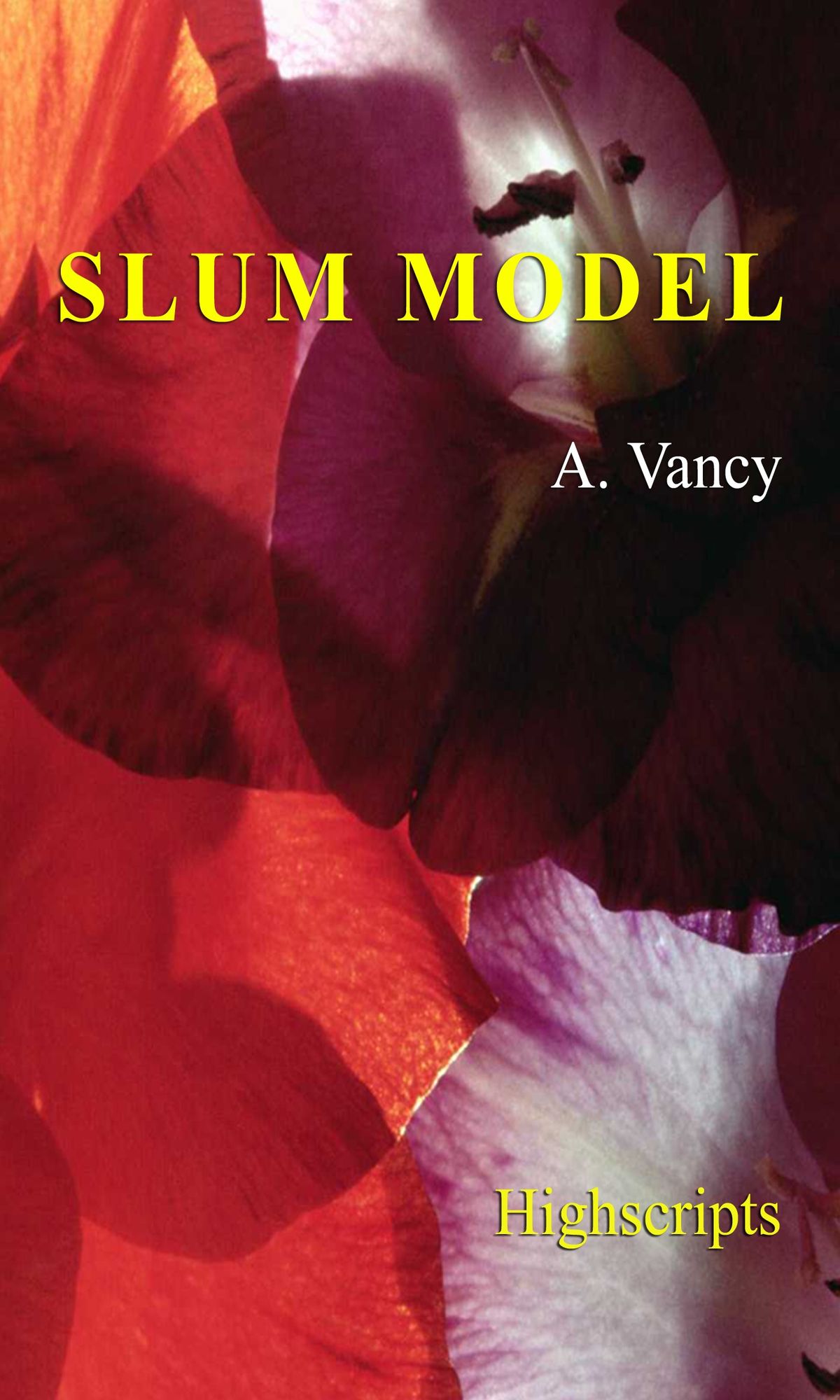 Slum Model (Eng)