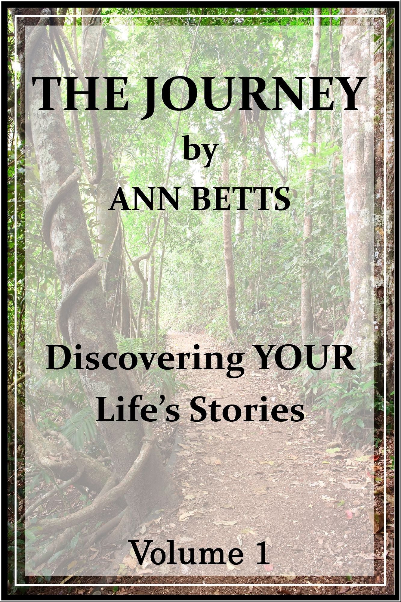 The Journey Volume 1