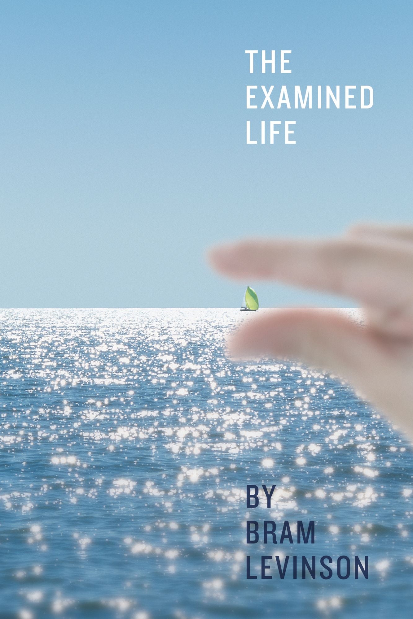 The Examined Life