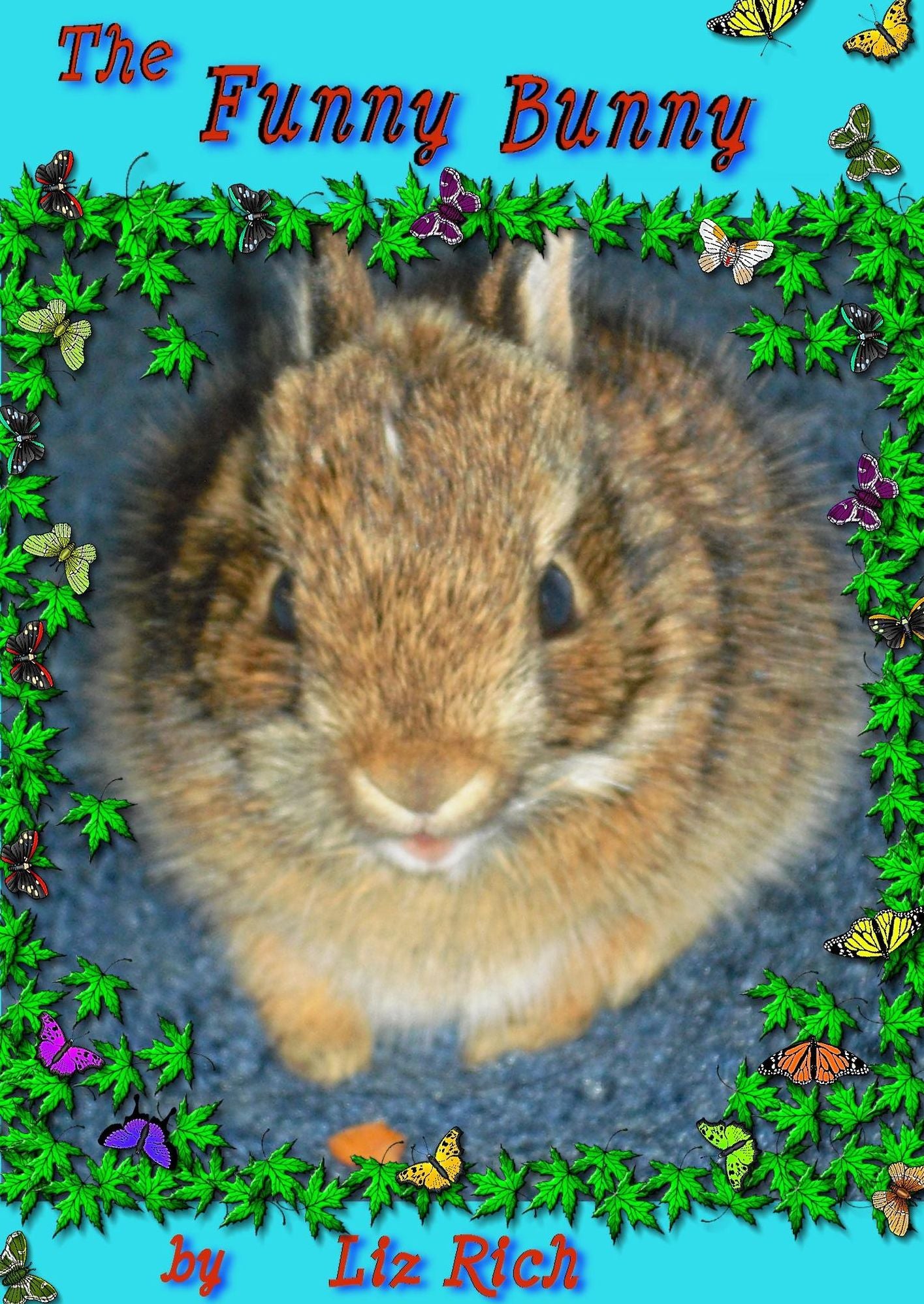 The Funny Bunny