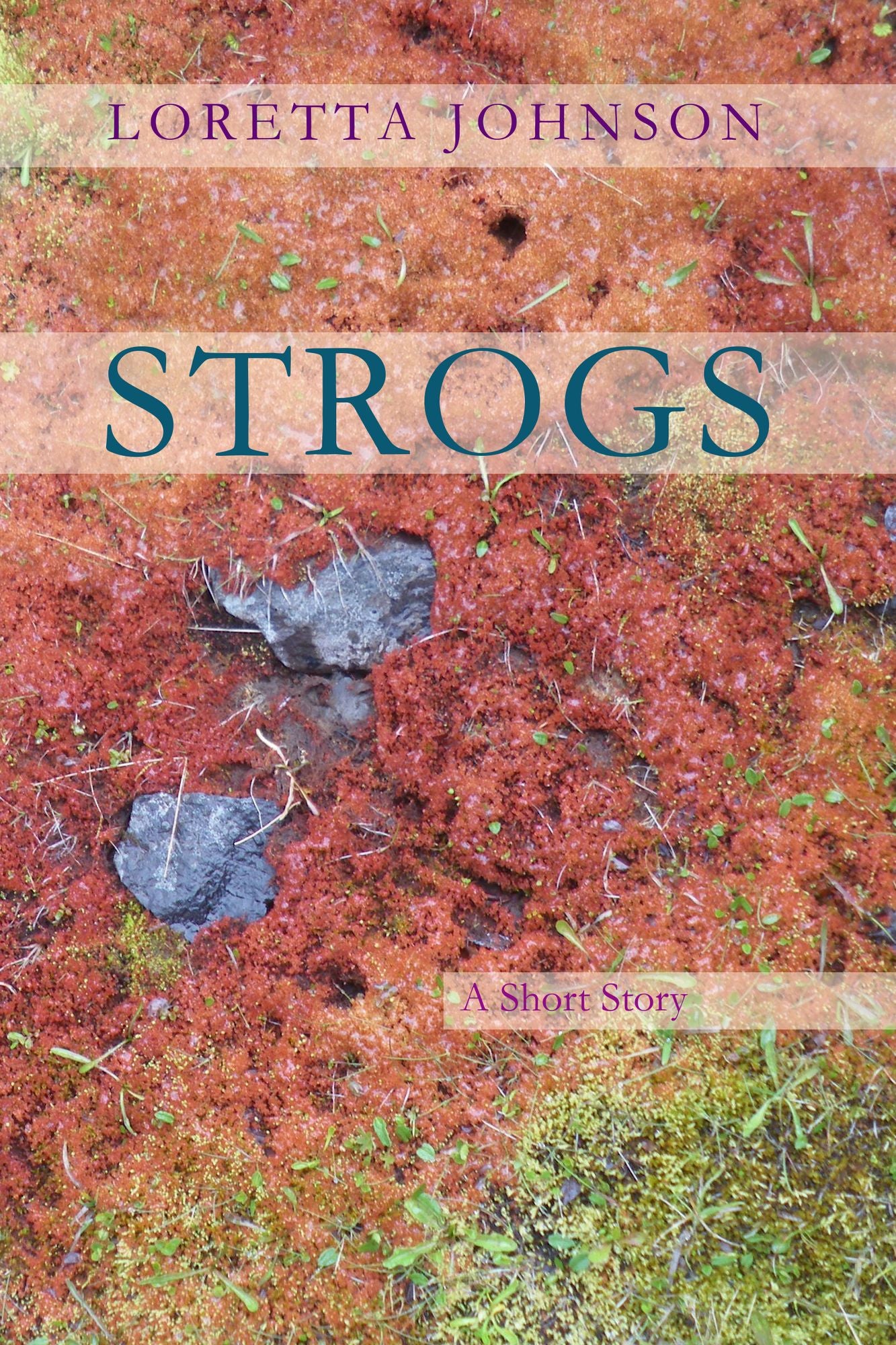 Strogs