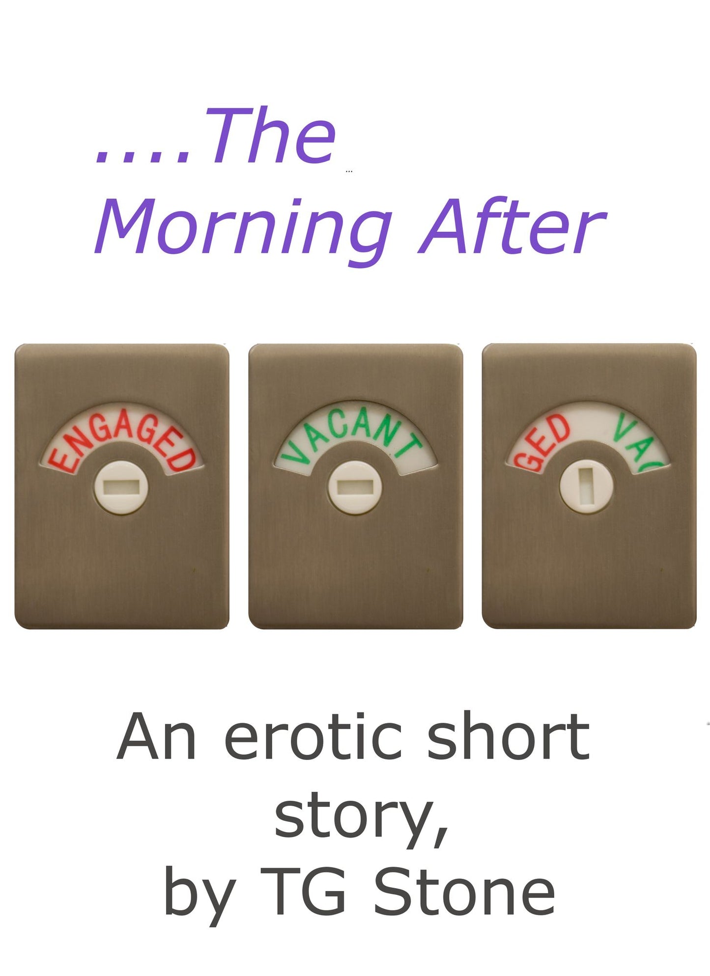 ....The Morning After: an erotic short story
