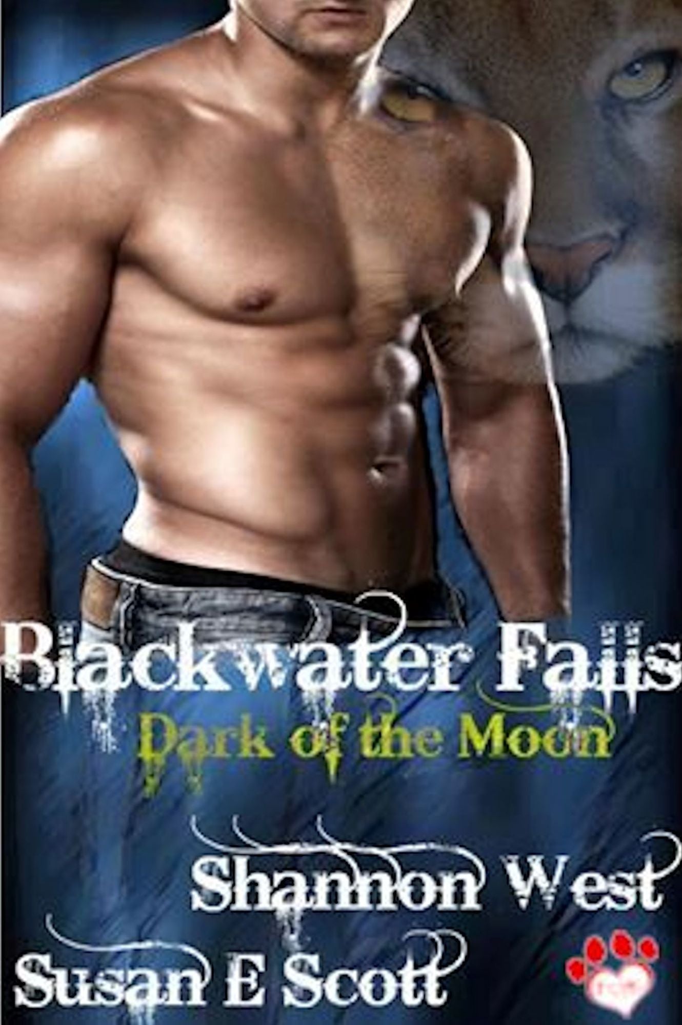 Blackwater Falls: Dark of the Moon
