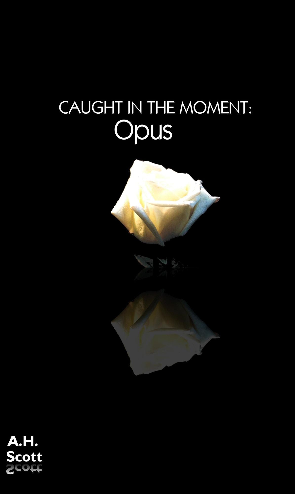 Caught In The Moment: Opus