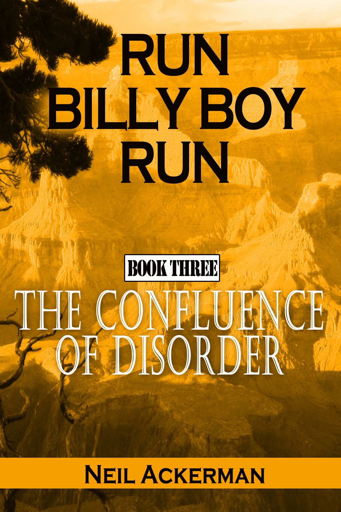 Run Billy Boy Run, Book Three: The Confluence of Disorder