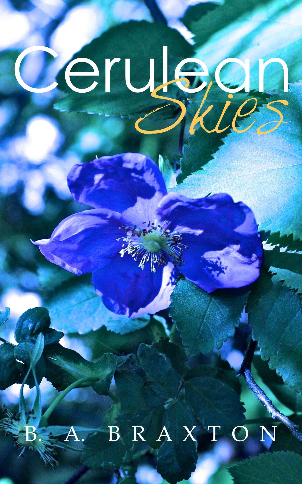 Cerulean Skies