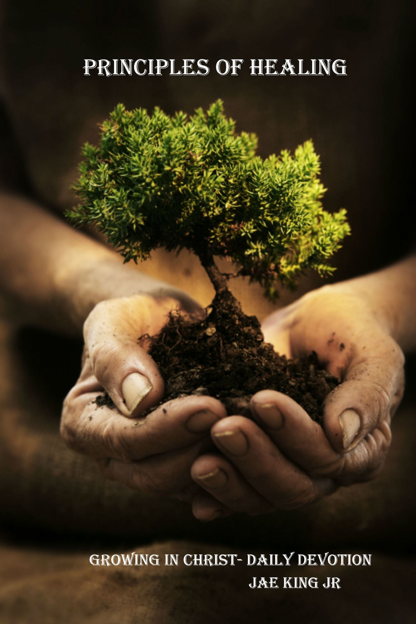 Principles of Healing