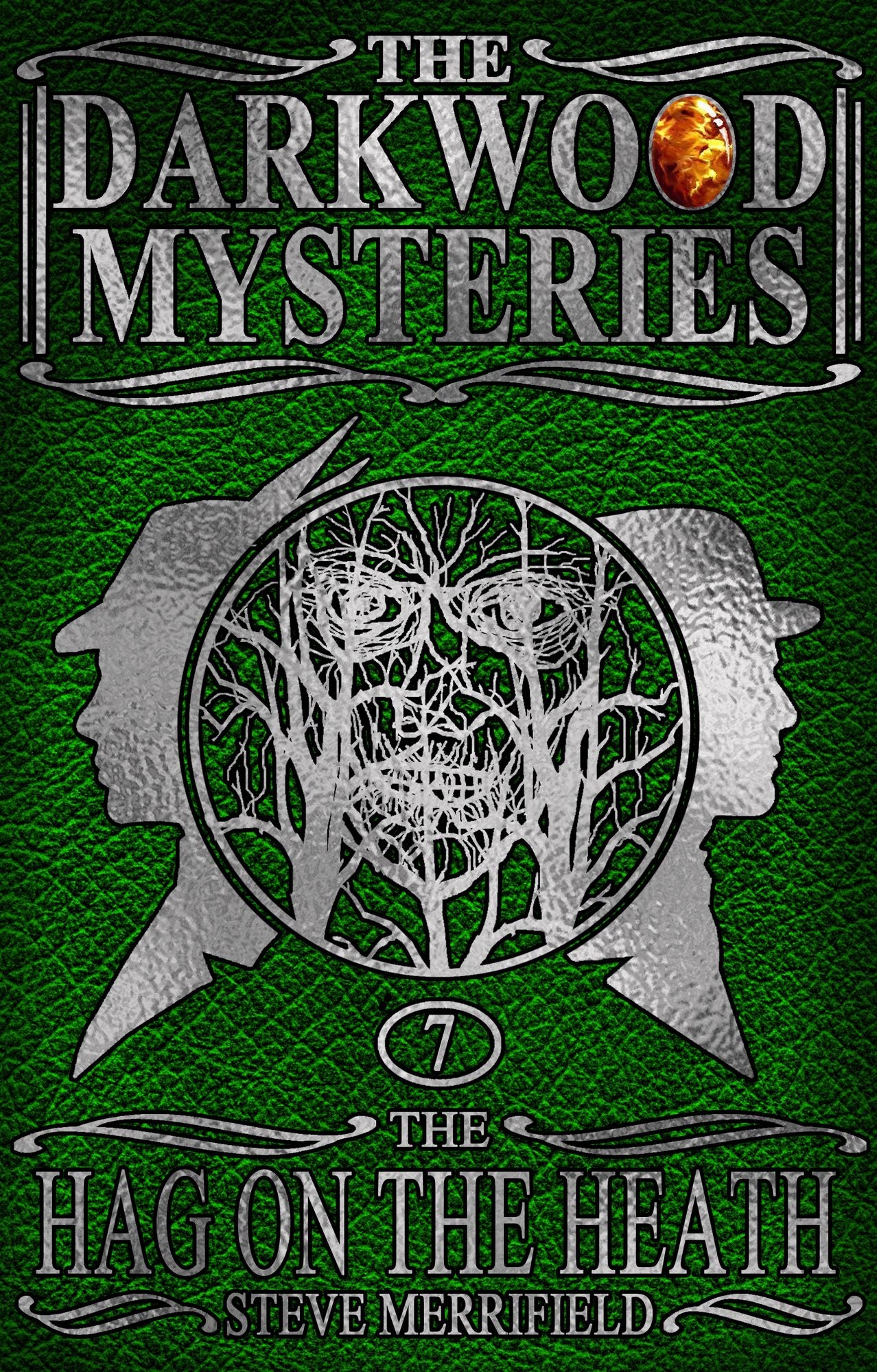 The Darkwood Mysteries (7): The Hag on the Heath
