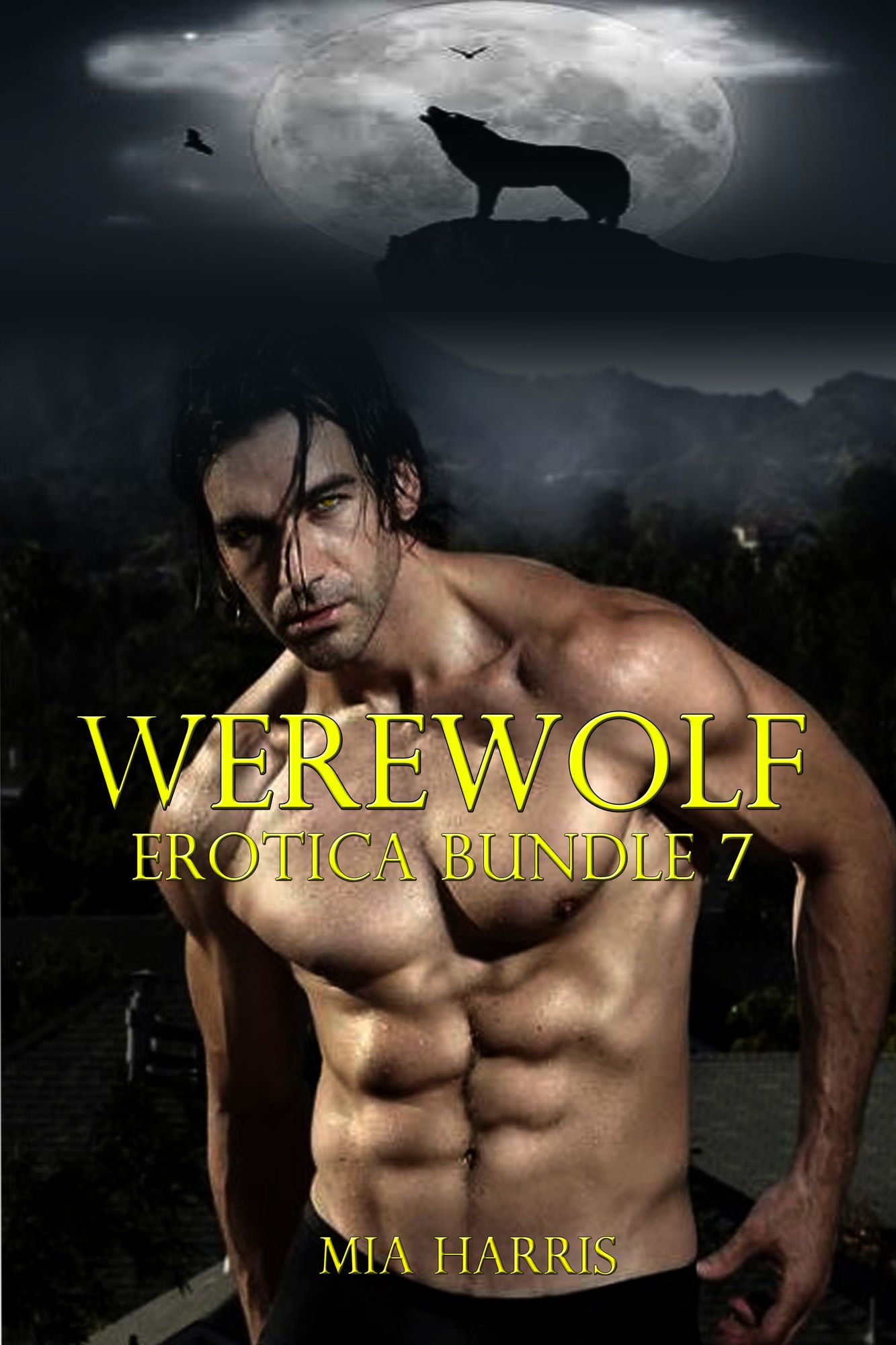 Werewolf Erotica Bundle 7 (Three BBW Werewolf Erotic Romance Stories)