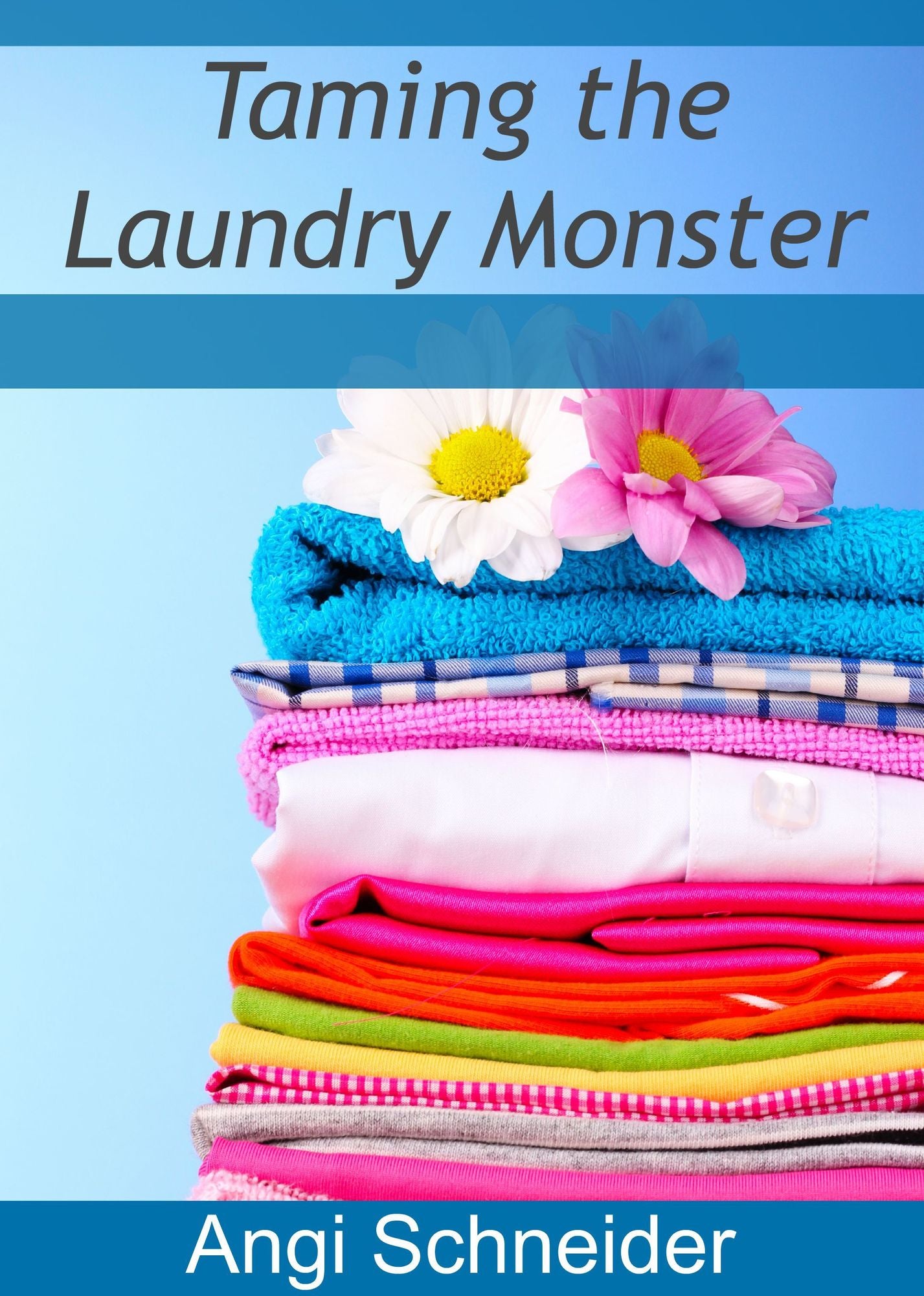 {The Busy Mom's Guide} Taming the Laundry Monster