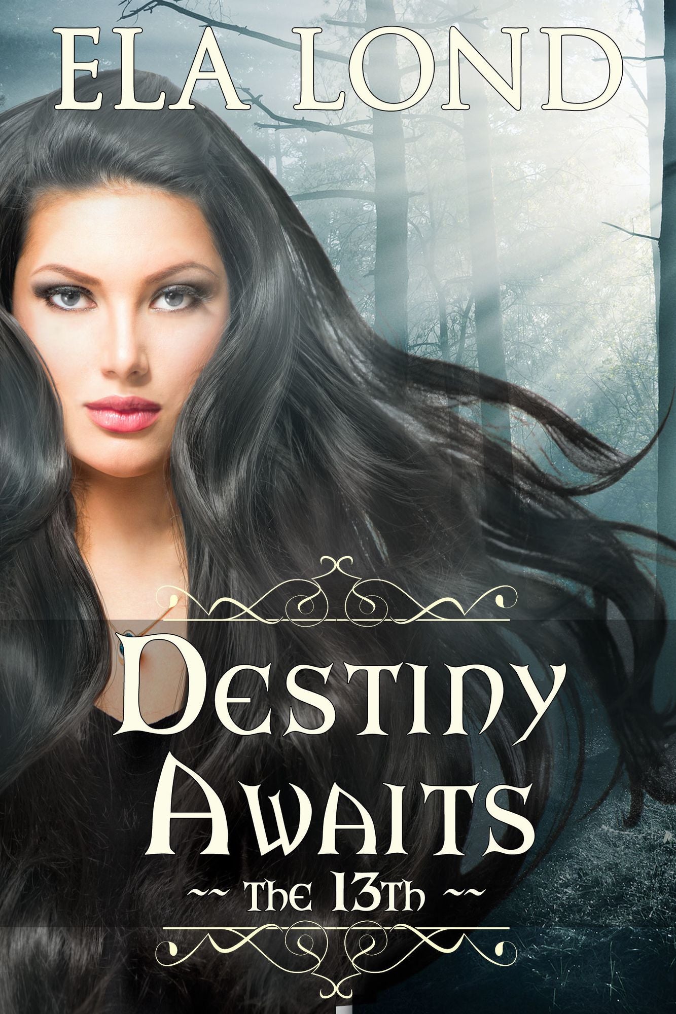 The 13th: Destiny Awaits