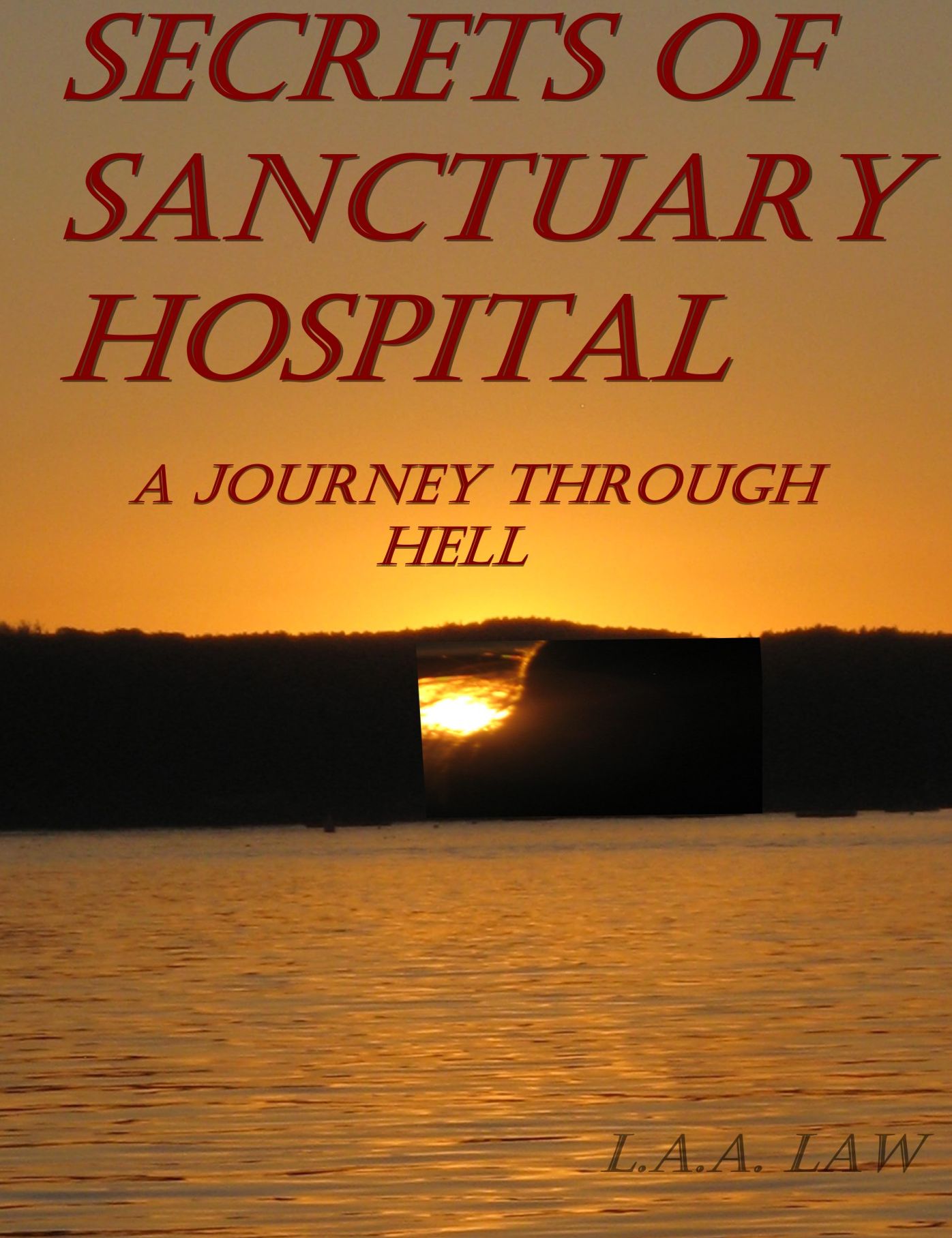 Secrets of Sanctuary Hospital A Journey Through Hell