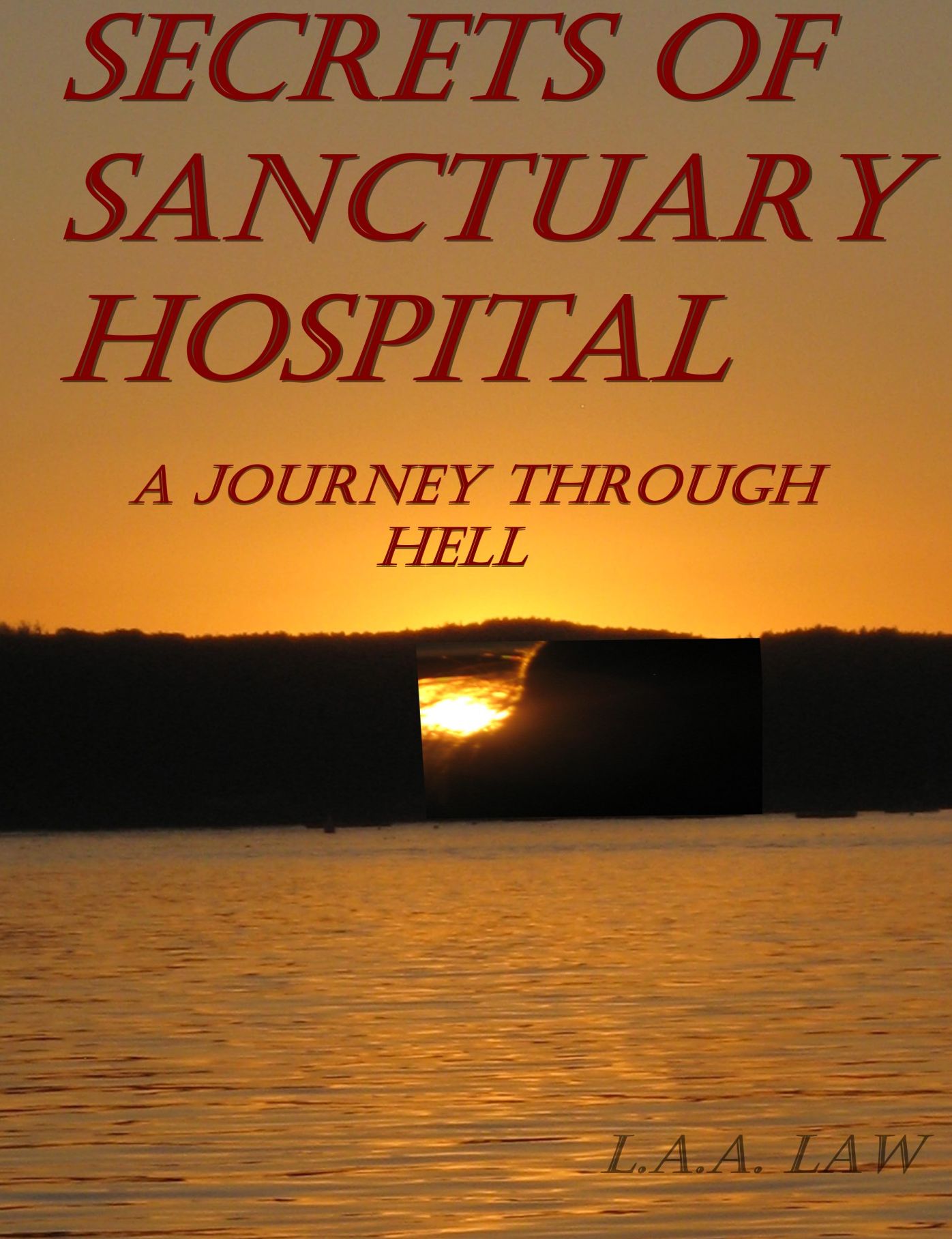 Secrets of Sanctuary Hospital A Journey Through Hell