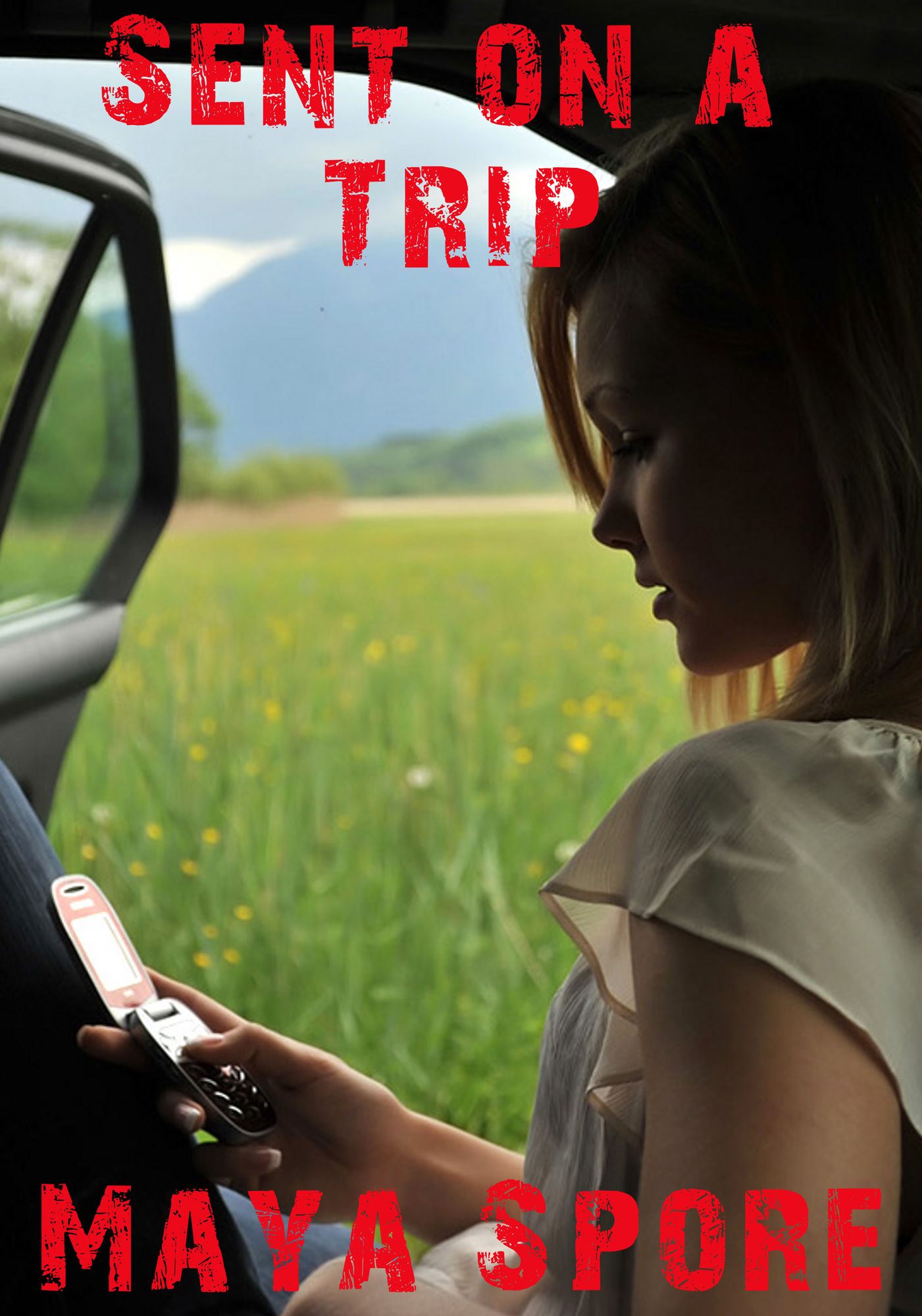 Sent on a Trip