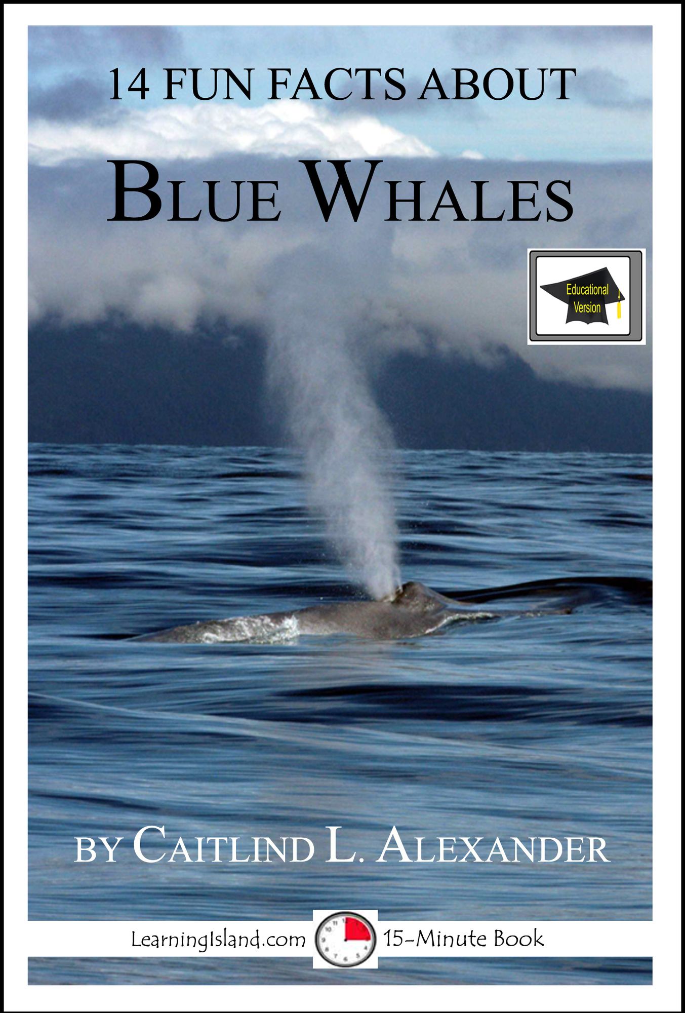 14 Fun Facts About Blue Whales: Educational Version