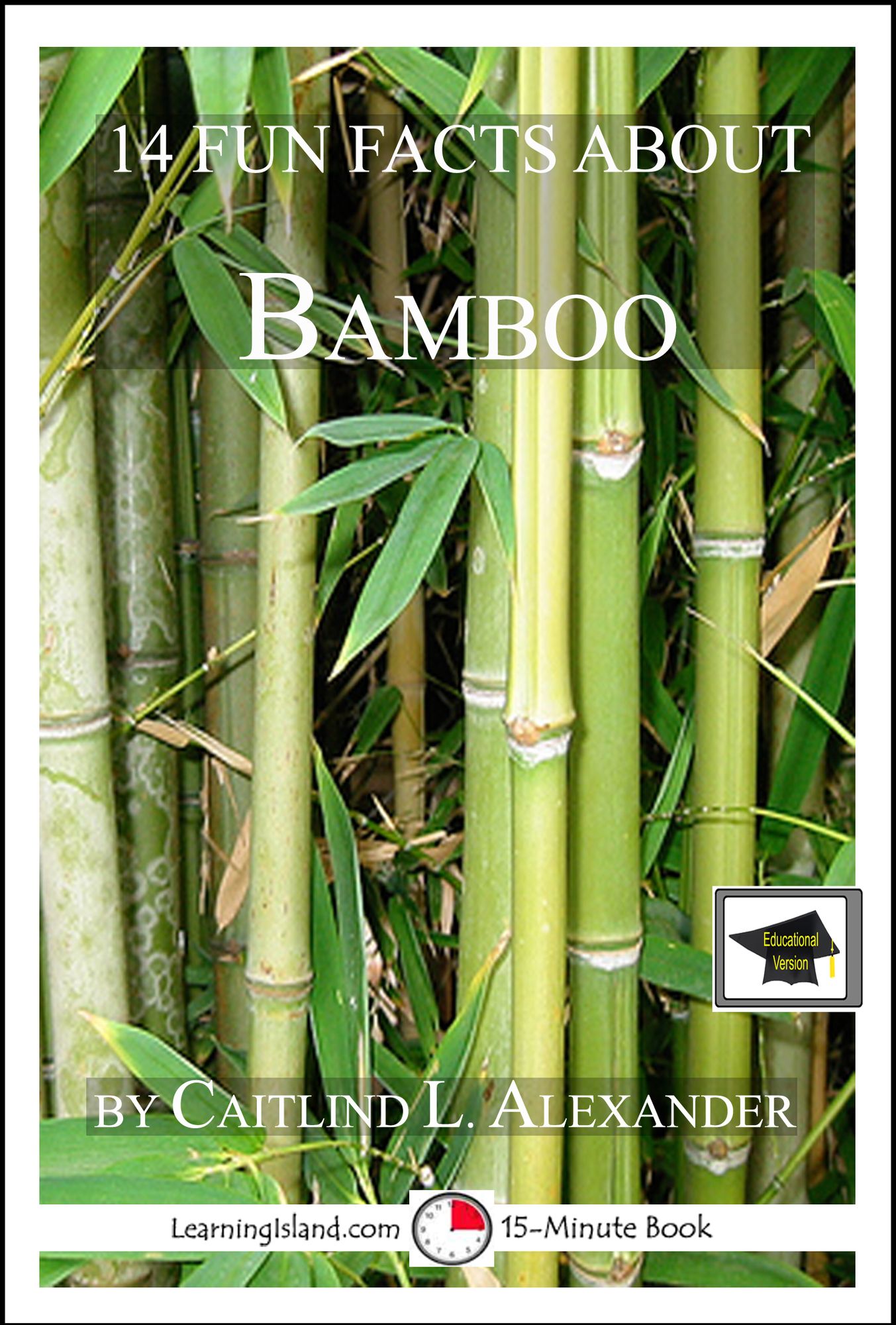 14 Fun Facts About Bamboo: Educational Version