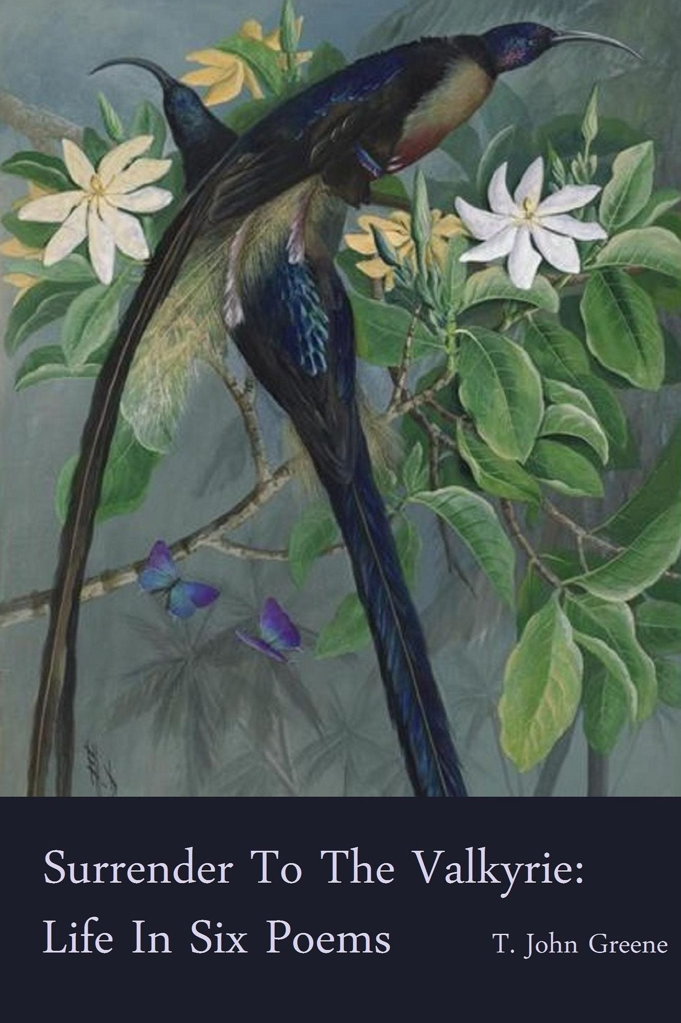 Surrender To The Valkyrie: Life In Six Poems