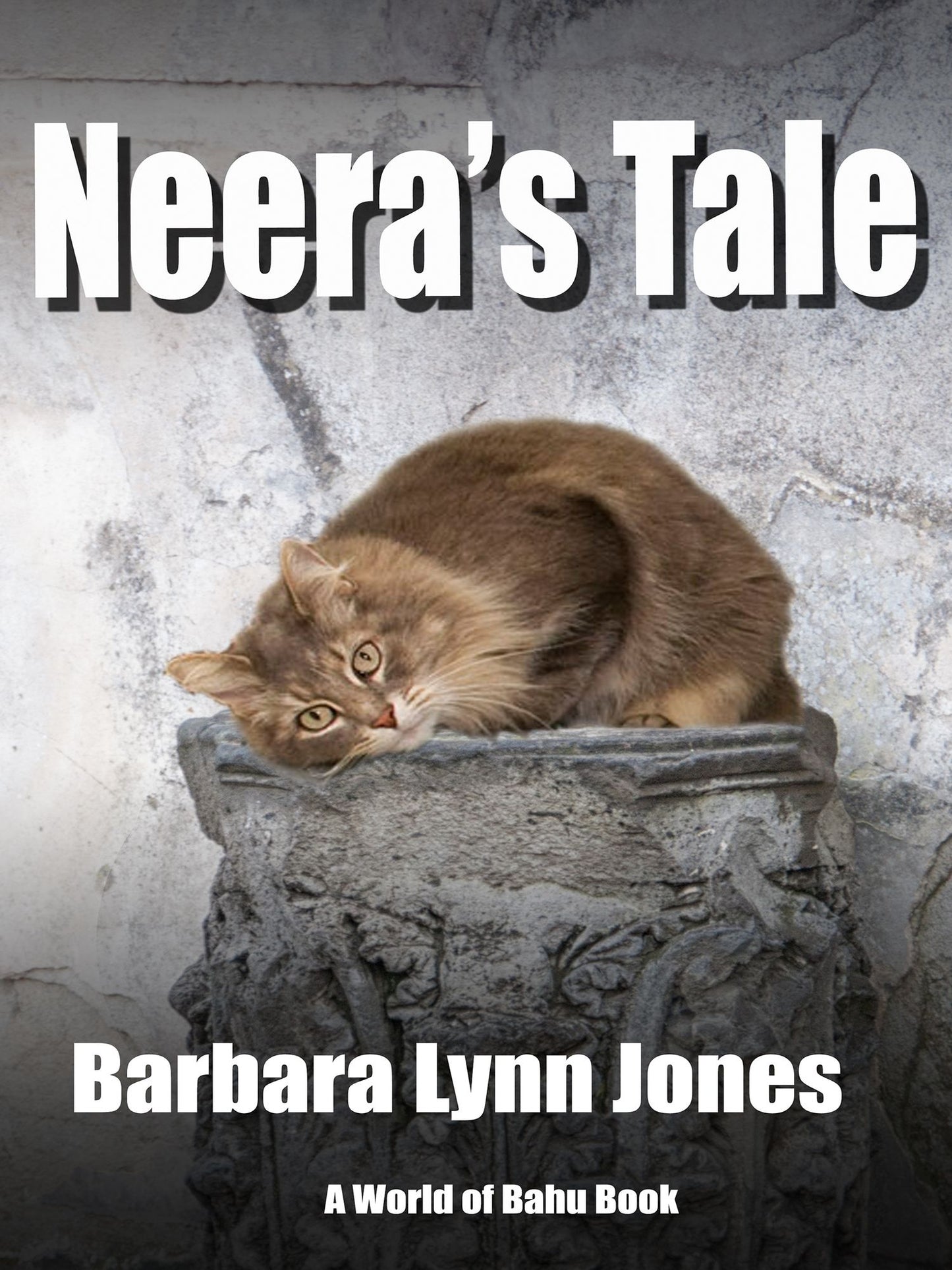 Neera's Tale